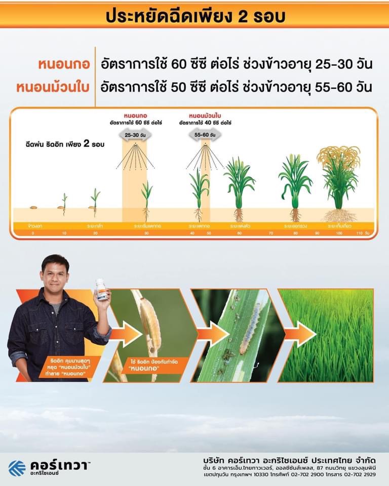 ริดอิท 250 ซีซี เมทอกซีฟีโนไซด์+สไปนีโทแรม สารกำจัดแมลงศัตรูพืช ยาป้องกันกำจัด หนอนดื้อยา หนอนข้าวโพด หนอนห่อใบข้าว