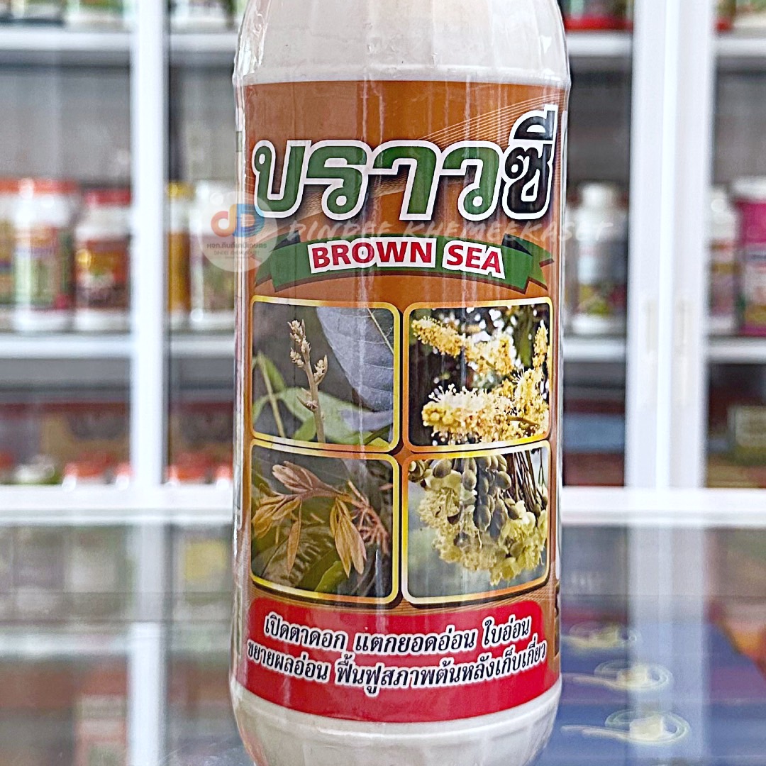 (กดสั่งซื้อครั้งละ 1 ลัง! ยกลัง*16 ) บราวซี (BROWN SEA) สาหร่ายทะเลสีน้ำตาล 20%w/w -ขนาด 1 ลิตร #เปิดตาดอก แตกยอดใบอ่อน
