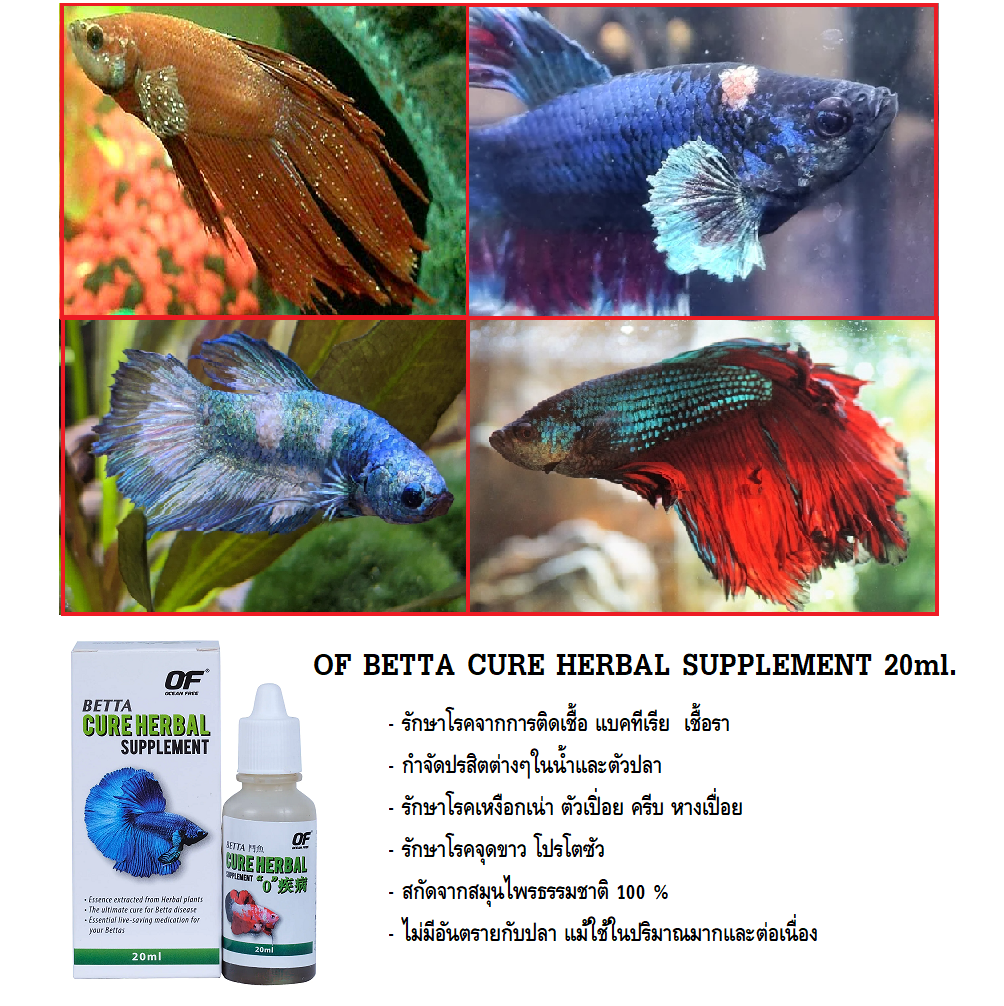 OF BETTA CURE HERBAL SUPPLEMENT 20ml.(สารสกัดสมุนไพรธรรมชาติ รักษา&ป้องกันโรคปลากัด ตัวเปื่อย แผล จุดขาว เชื้อรา ปรสิต)