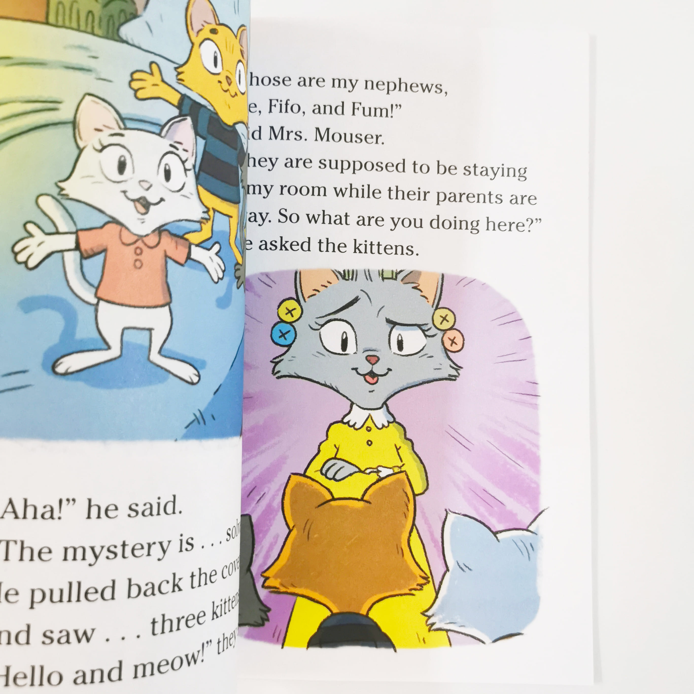 Afraid of the Dark? (Hamster Holmes)