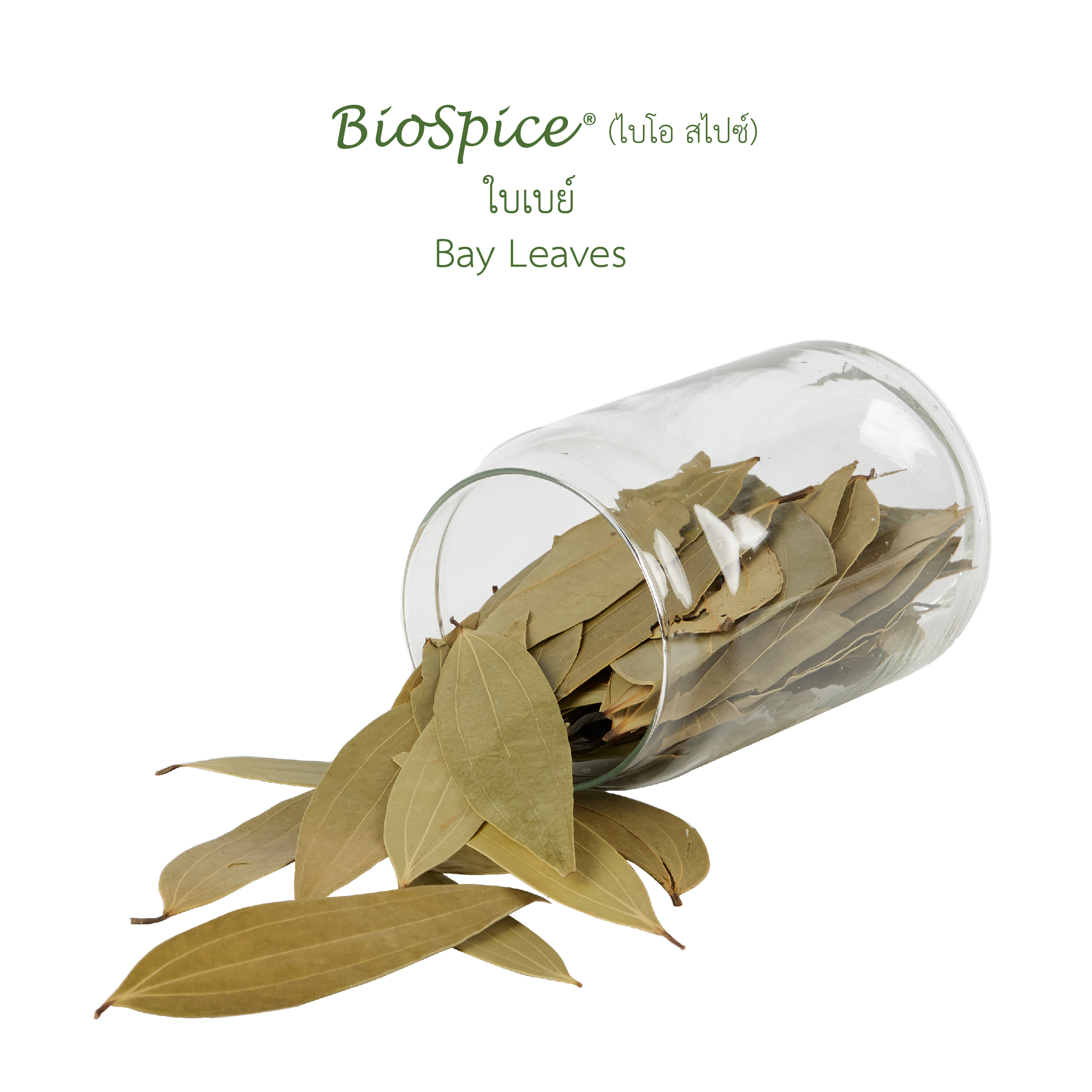 ใบเบย์ (เครื่องหมายการค้า ไบโอ สไปซ์) 50 กรัม / Bay Leaves (BioSpice®) 50 gram.