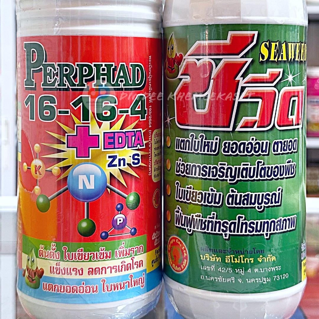 (ชุด2ขวด) ปุ๋ยน้ำ 16-16-4 +EDTA ขนาด 1 ลิตรเพิ่มราก ยอดอ่อน ใบหนาใหญ่+ซีวีด (SEAWEED) #สาหร่ายสกัดชนิดเข้มข้น แตกใบใหม่