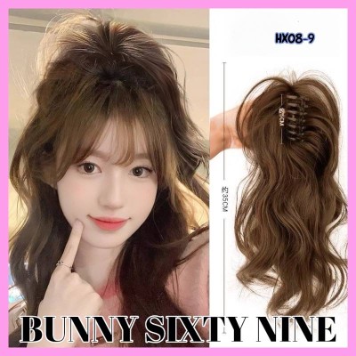 แฮร์พีช ผมแบบหนีบ ทรงสูง พร้อมส่งในไทย