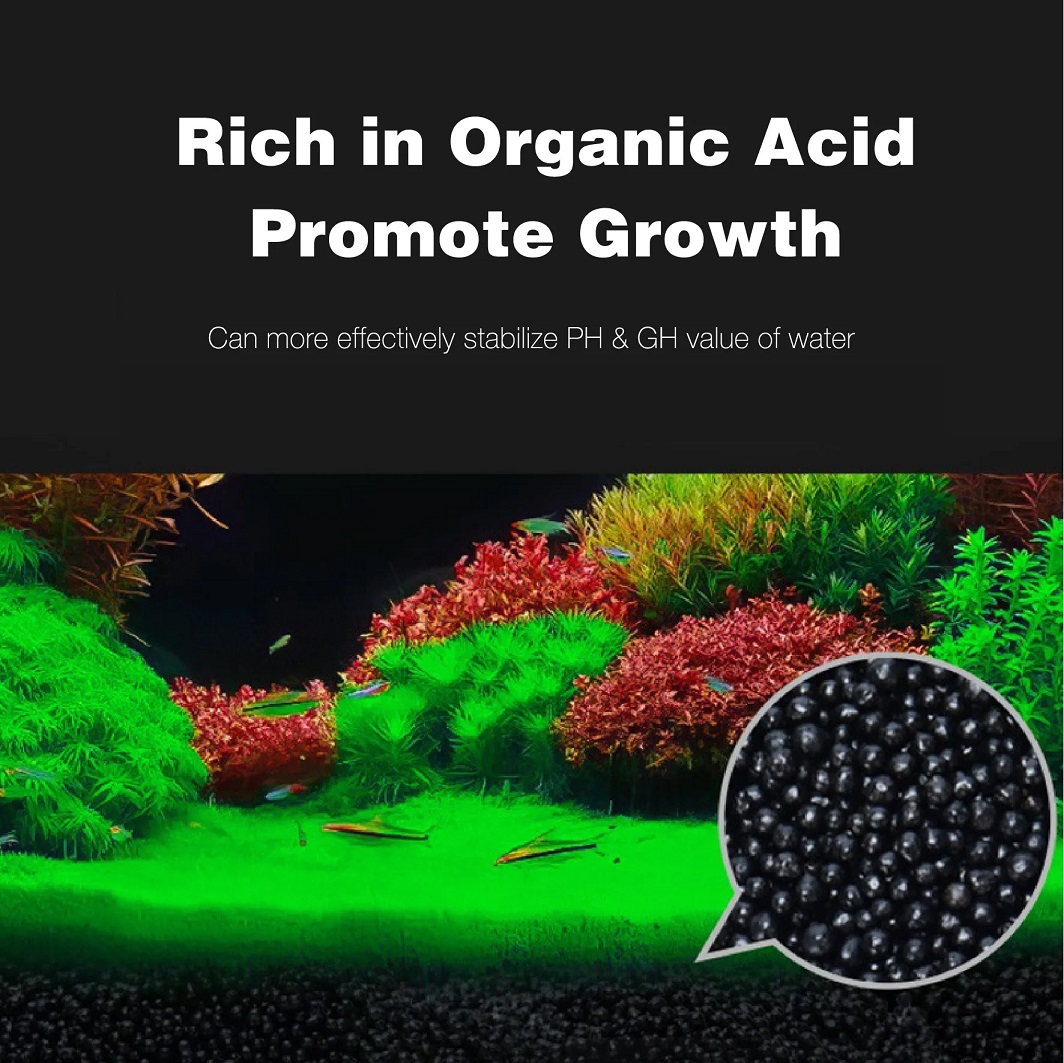 Nepall Aquatic Plant SET ชุดปลูกไม้น้ำ ดินและเมล็ดพันธุ์ไม้น้ำ ปลูกง่าย สร้างระบบนิเวศธรรมชาติในตู้ปลา