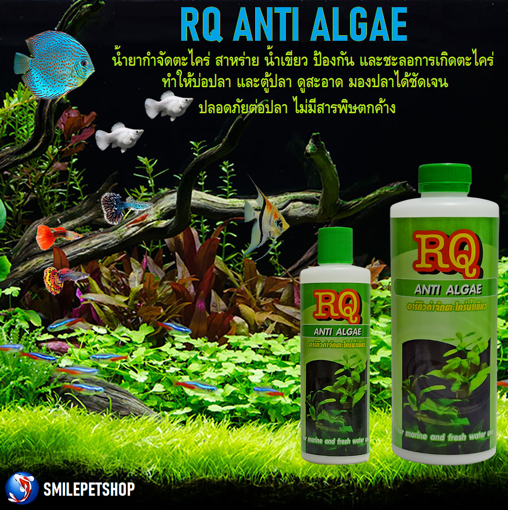 RQ Anti Algae (น้ำยากำจัดตะไคร่ น้ำขียว สาหร่าย ตะไคร่ ในบ่อปลา และตู้ปลา)