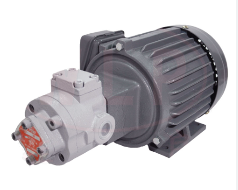 มอเตอร์ ปั๊ม WLP Motor Pump