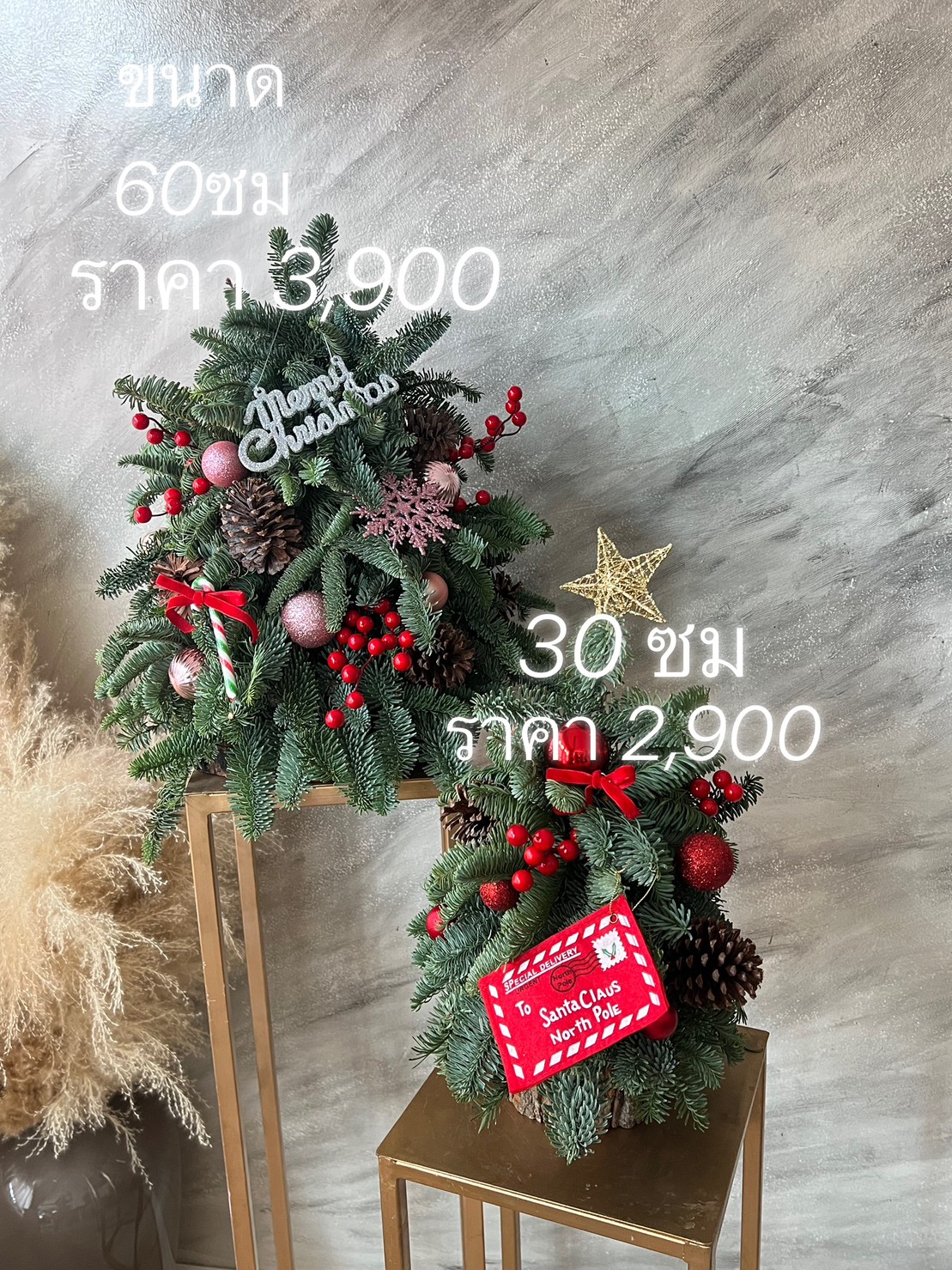 Christmas Tree ต้นคริสมาสต์ ทำจากต้นสนสด Holland มี 2 ขนาด พร้อมประดับตกแต่ง Ornament