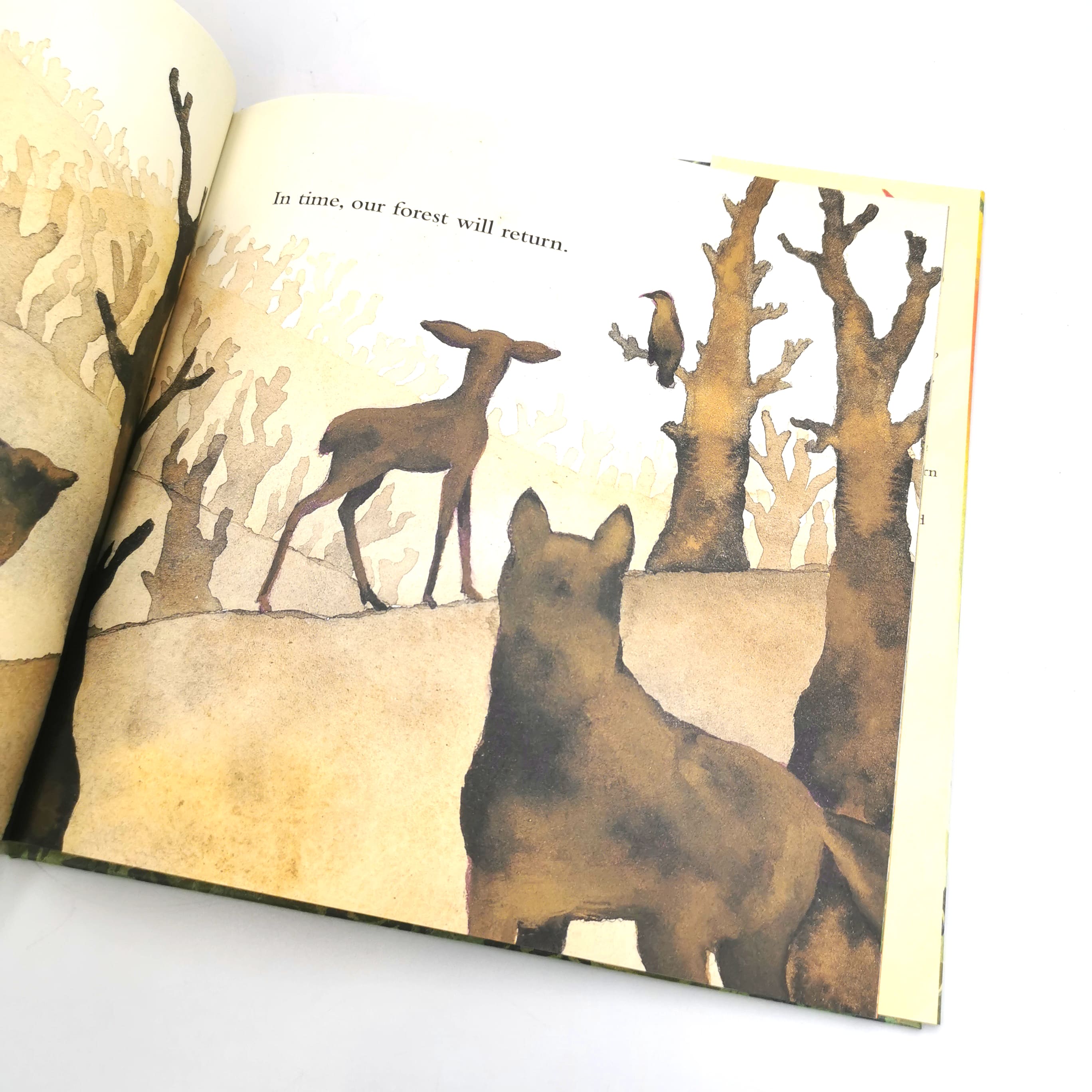 We Will Live in This Forest Again