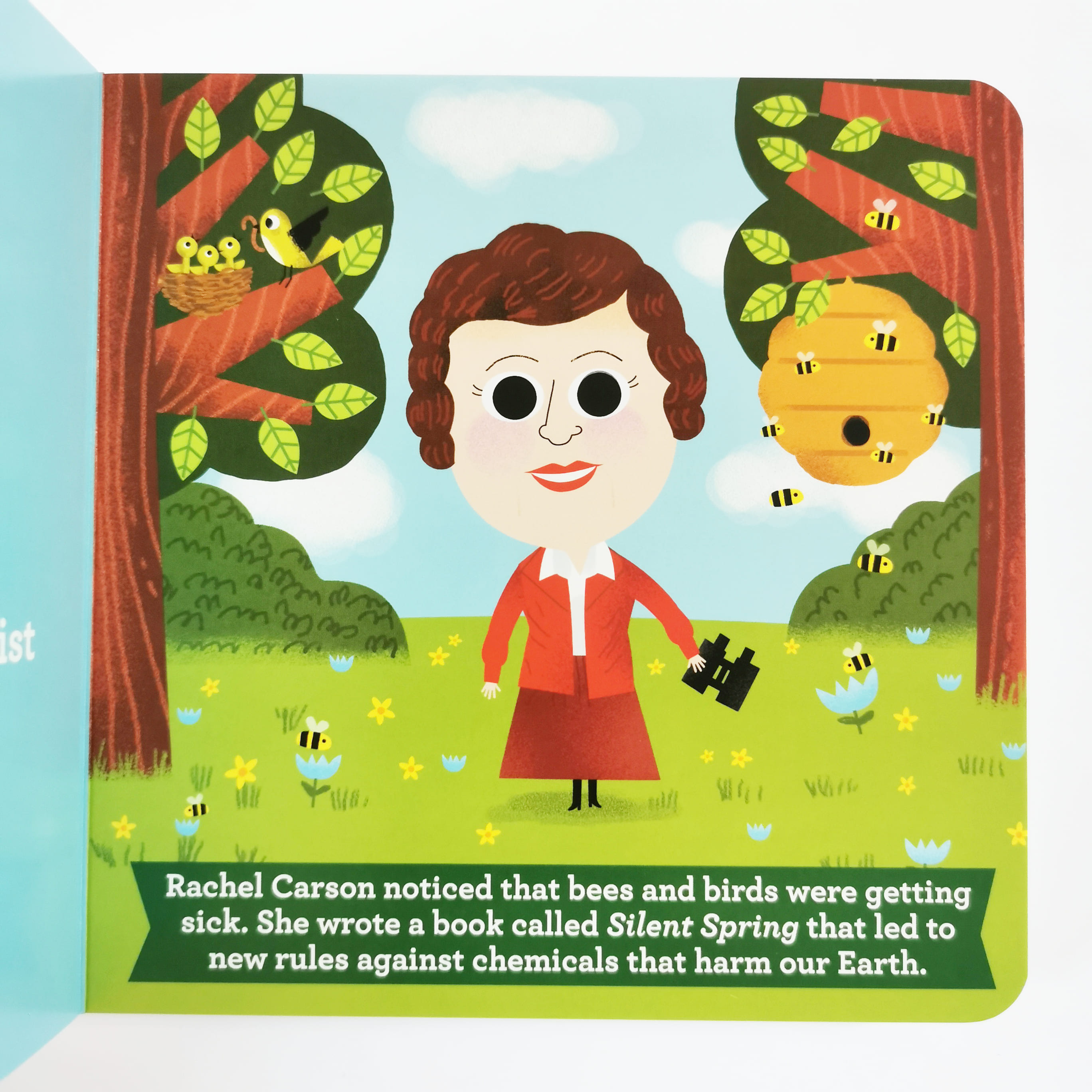 This Little Environmentalist