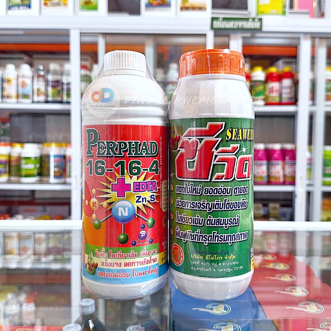 (ชุด2ขวด) ปุ๋ยน้ำ 16-16-4 +EDTA ขนาด 1 ลิตรเพิ่มราก ยอดอ่อน ใบหนาใหญ่+ซีวีด (SEAWEED) #สาหร่ายสกัดชนิดเข้มข้น แตกใบใหม่