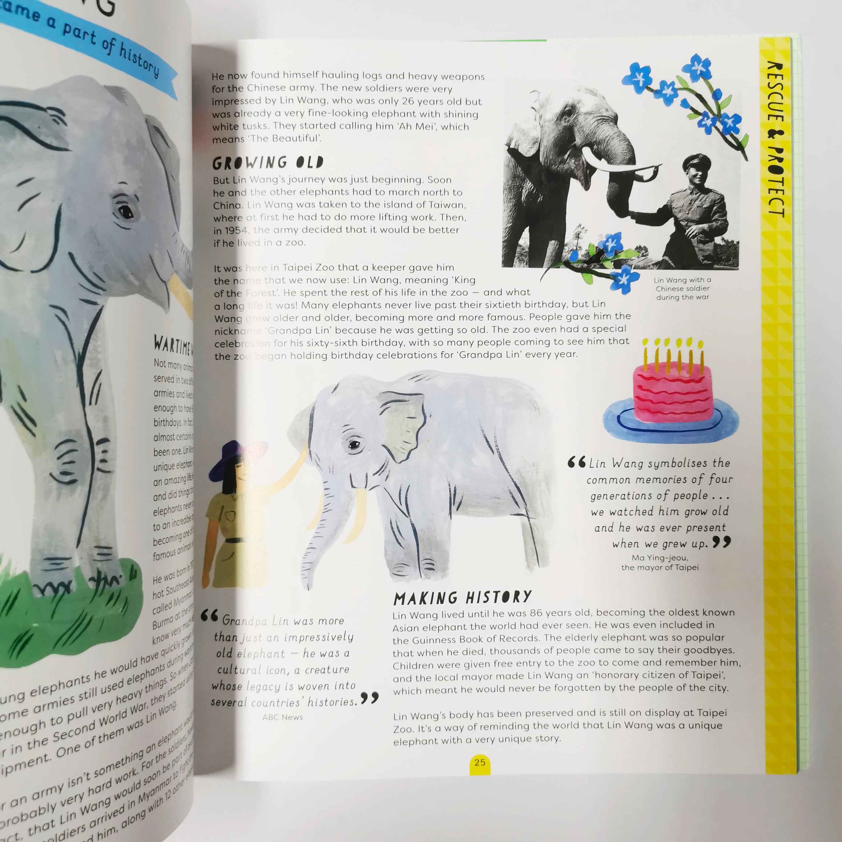 Wild lives (Stories That Shook Up the World)