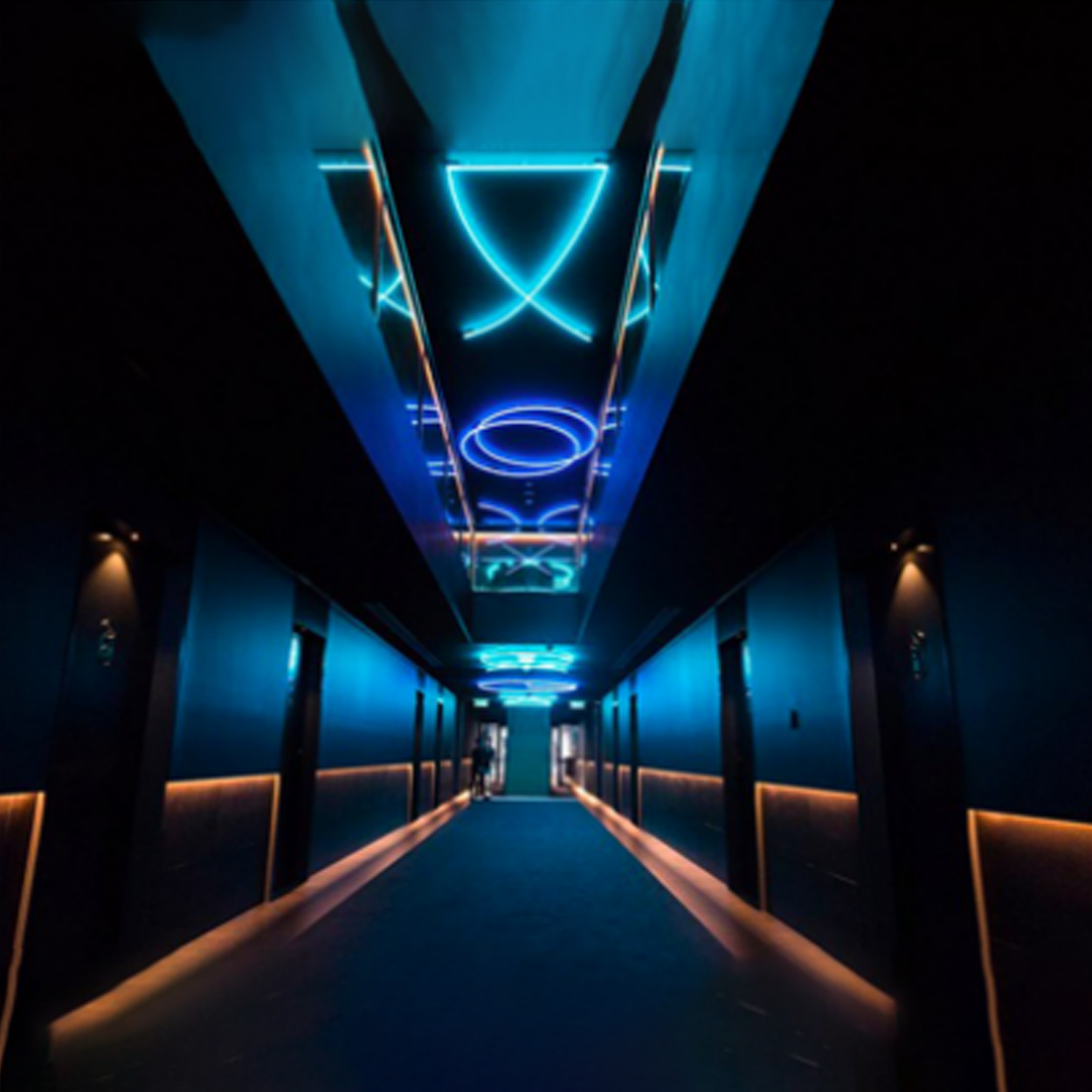 ไฟนีออนเฟล็ก LED Neon flex 6W DC24V Blue Color IP67