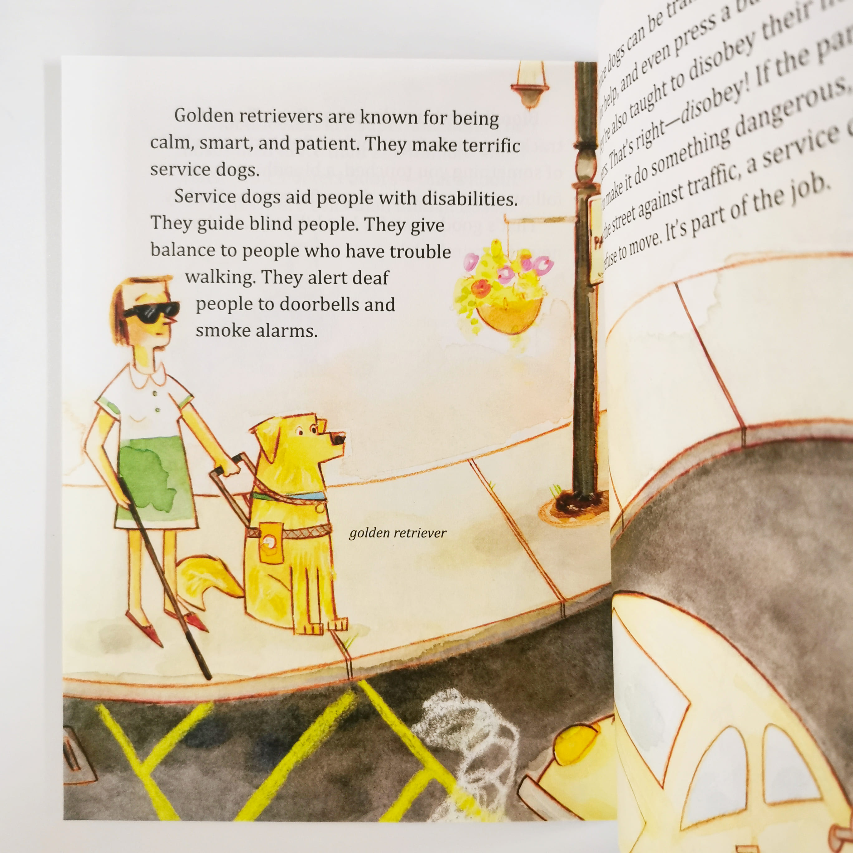 My Little Golden Book About Dogs (LGB)