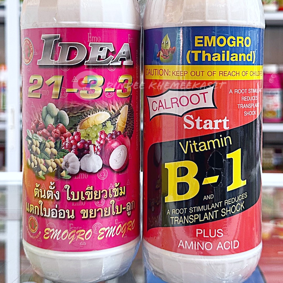(ชุด2ขวด)ปุ๋ยน้ำ 21-3-3 ขนาด 1 ลิตร ต้นตั้ง ใบเขียวเข้ม แตกยอด อ่อนแตกใบอ่อน+วิตามินบี-1 (VitaminB-1) #ช่วยรากแตกพืชดี