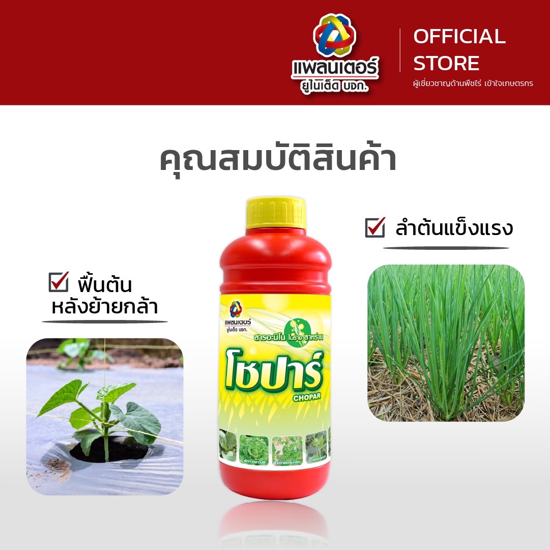โชปาร์ 1000cc สาหร่ายผสมอะมิโน สินค้าจาก แพลนเตอร์ ยูไนเต็ด เร่งต้น โตไว เร่งรากดี ใบเขียว ดอกดก