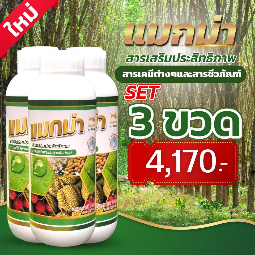แมกม่า ขนาด1000ซีซี 3ขวด