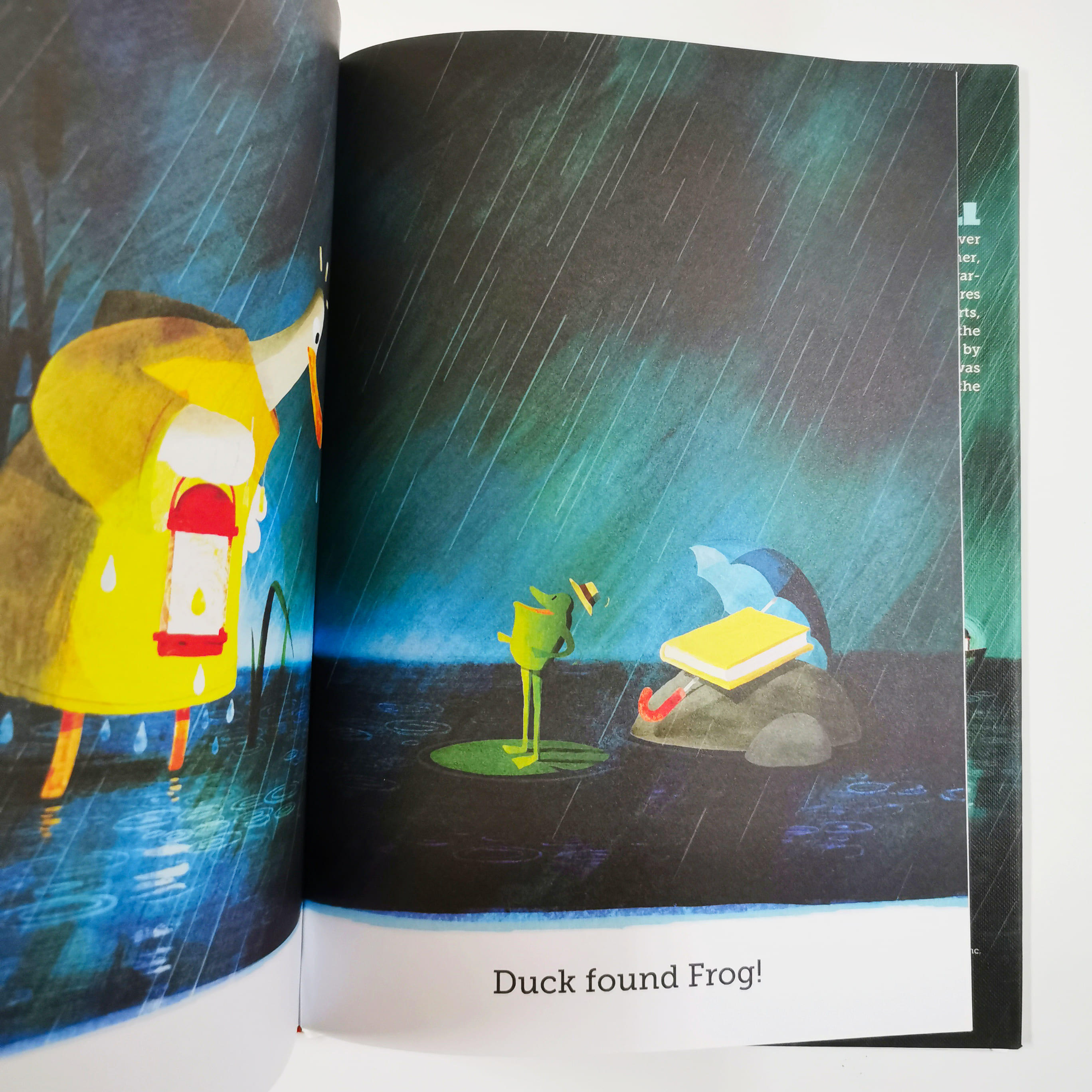 The Duck Who Didn't Like Water