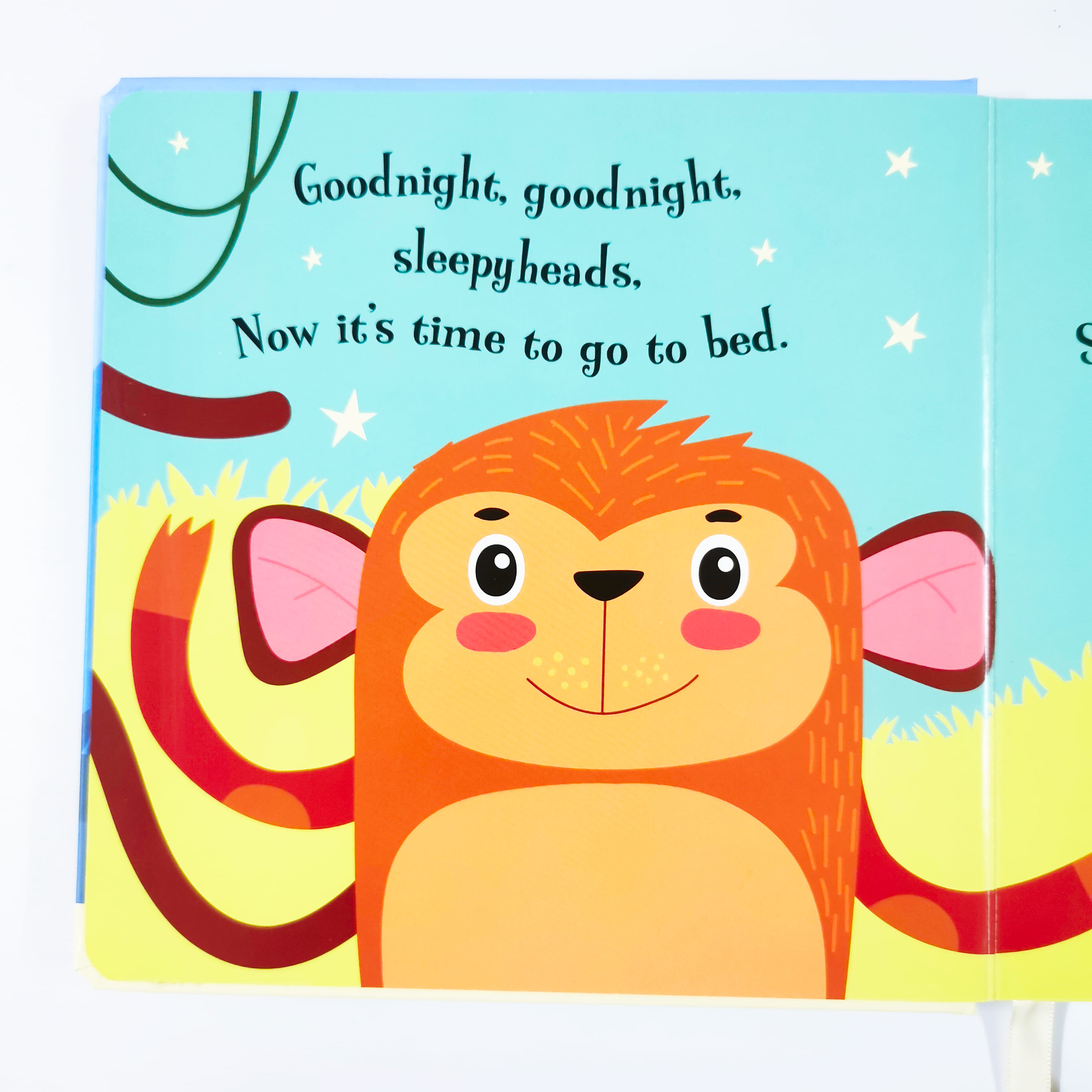 Goodnight Monkey (Magic Torch Books)