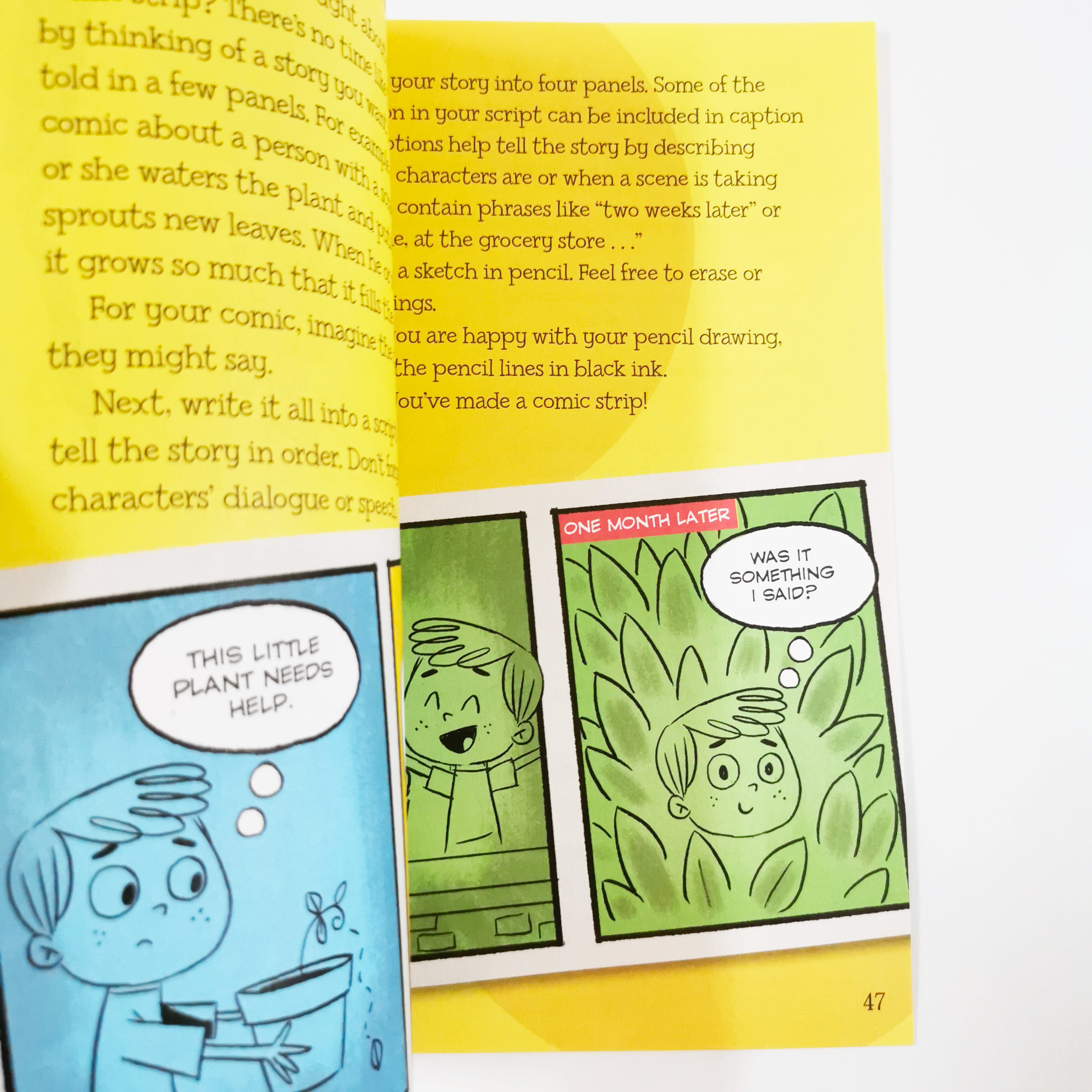 The Colorful Story of Comics (History of Fun Stuff to Go!)