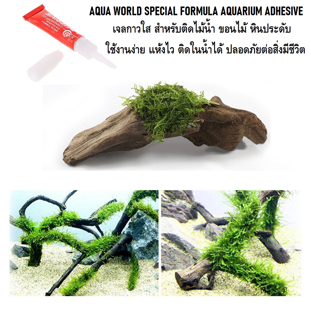 AQUA WORLD AQUARIUM ADHESIVE 5g.(กาวติดไม้น้ำ มอส ปะการัง ขอนไม้ หิน เจลใส ติดง่าย แห้งไว ติดใต้น้ำได้ ปลอดภัยต่อปลา)