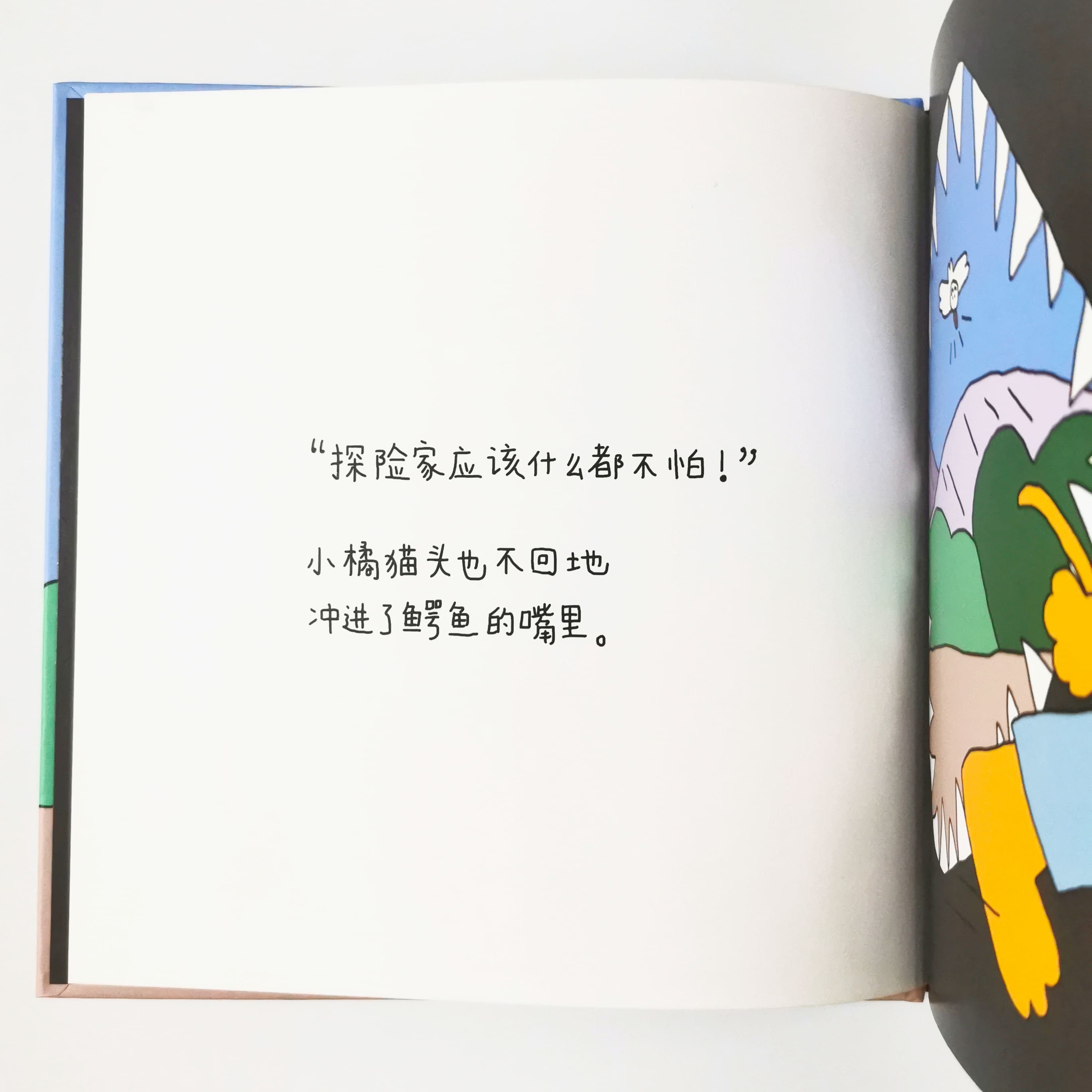 探险家 The Explorer