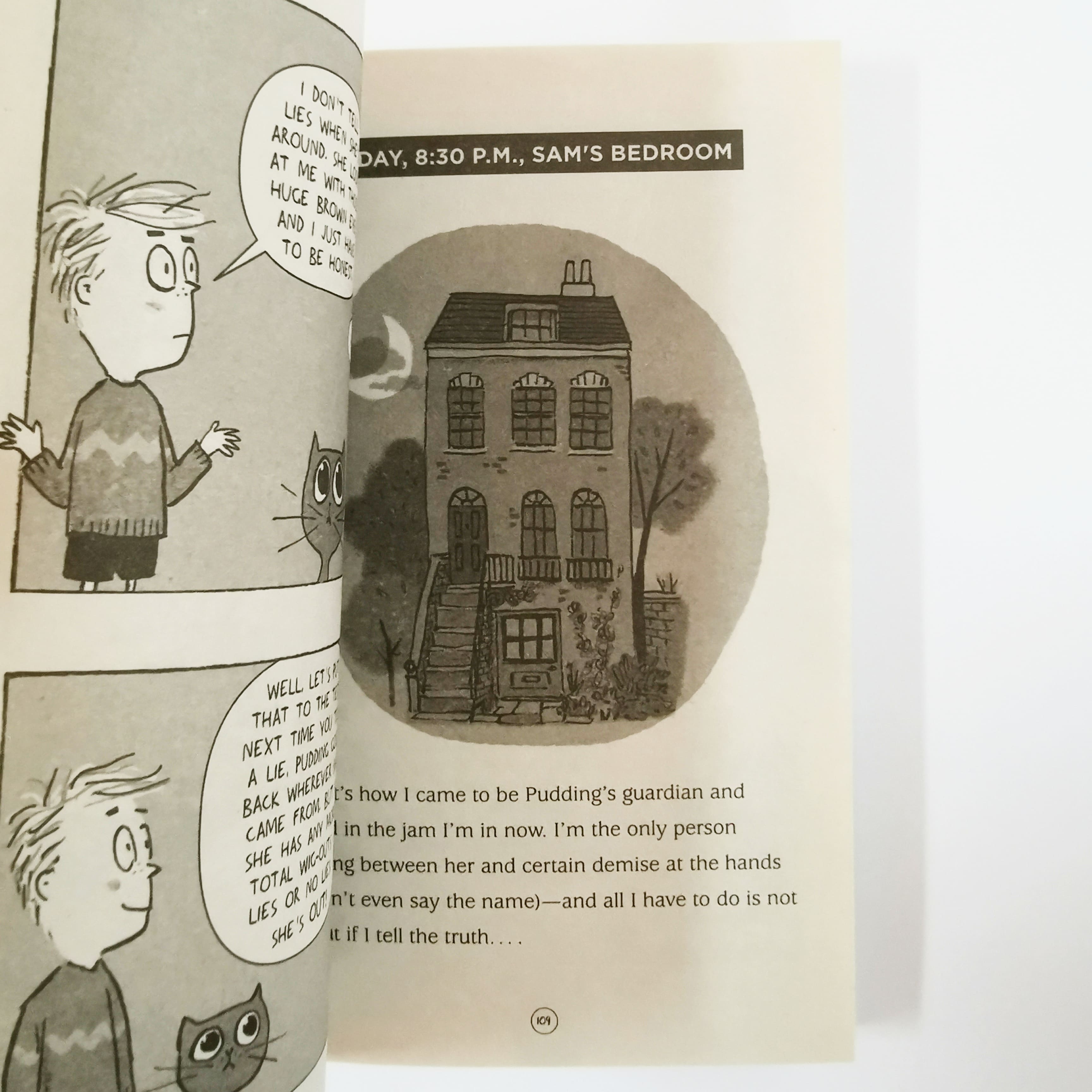 The Pudding Problem #1 (Lyttle Lies)