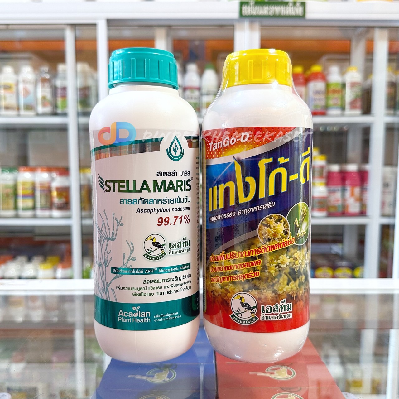 (ชุด 2ขวด) ชุดบำรุงตาดอก บำรุงดอกทุเรียน แทโก้-ดี ขนาด1ลิตร+สเตลล่า มาริส ขนาด1ลิตร ออกดอกสม่ำเสมอ ติดดอกดี ดอกสมบูรณ์