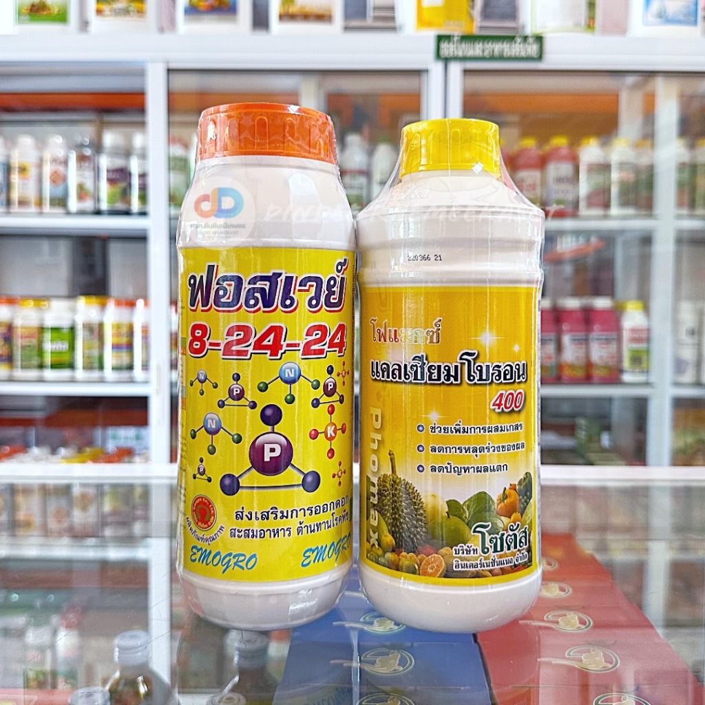 (ชุด2ขวด) ปุ๋ยน้ำฟอสเวย์ 8-24-24 ขนาด1 ลิตร ส่งเสริมการออกดอก+โฟแมกซ์ แคลเซียมโบรอน 400 (Phomax CaB 400) 1 ลิตร