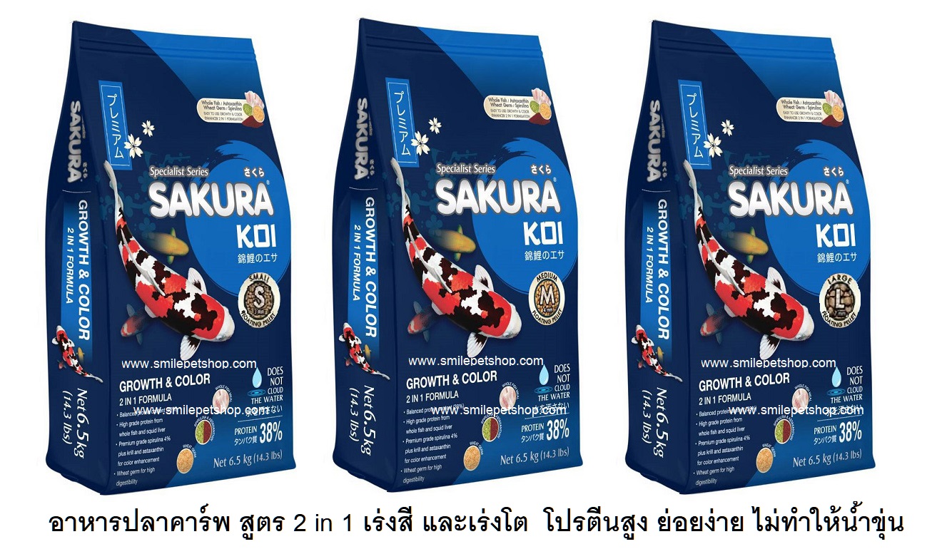 SAKURA KOI Growth&Color 6.5 kg. (อาหารปลาคาร์พสูตร เร่งโตและเร่งสี)
