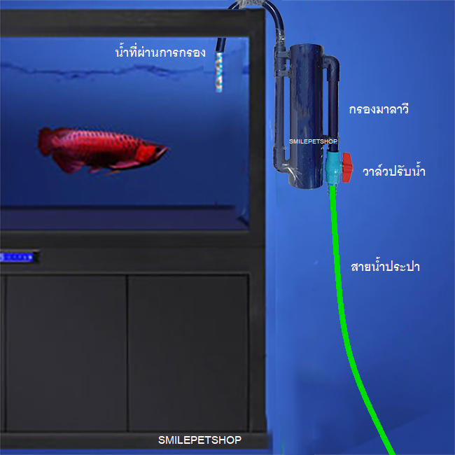 เครื่องกรองน้ำ มาลาวี (กำจัดคลอรีน ลดกลิ่น ลดสี กรองน้ำประปาสำหรับเลี้ยงปลา)