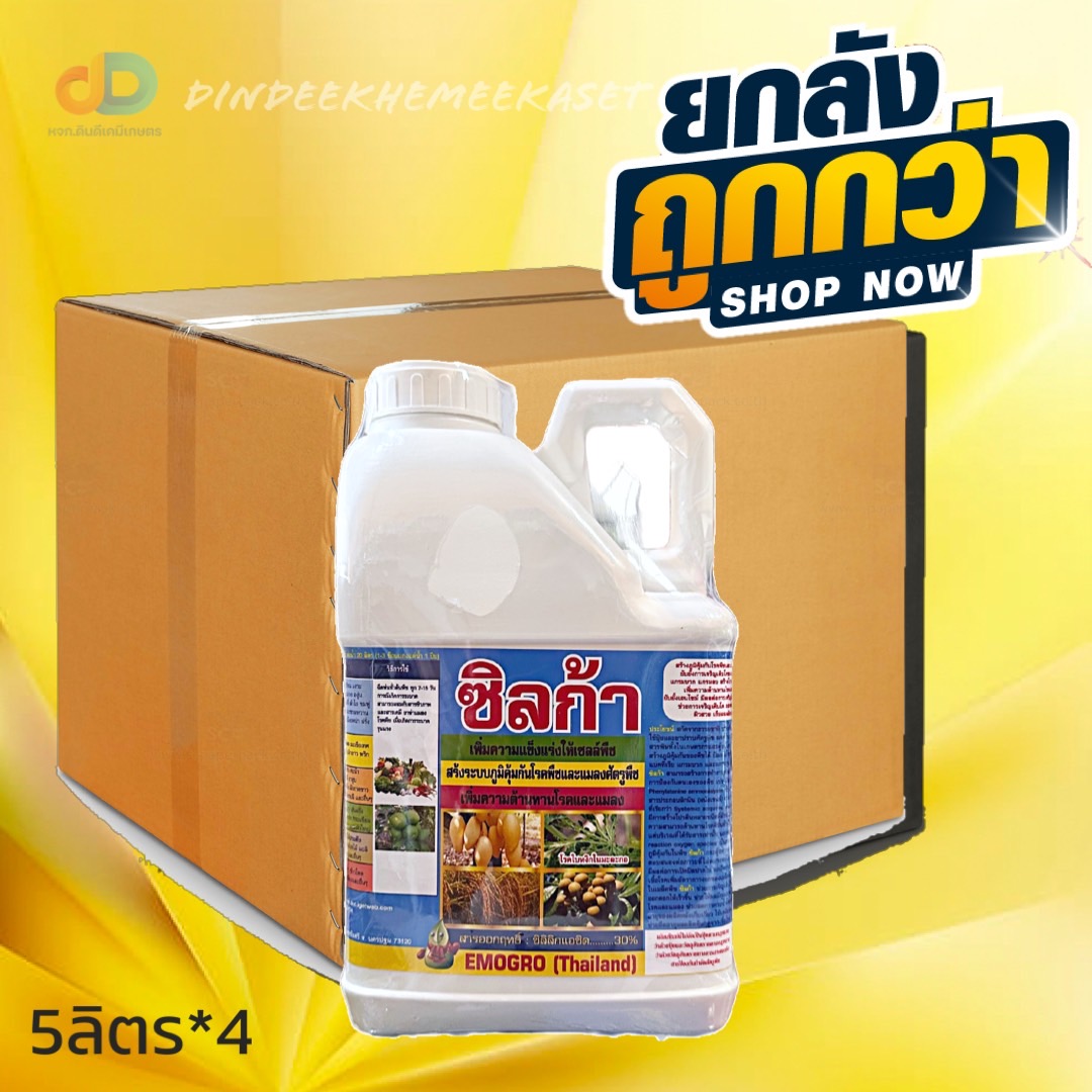 (ยกลัง*4แกลลอน) ซิลก้า ขนาด 5ลิตร สารซิลิก้า หรือ ซิลกอน ช่วยให้ผนังเซลล์มีความแข็งแรง จึงช่วยสร้างภมูิต้านทานแมลง