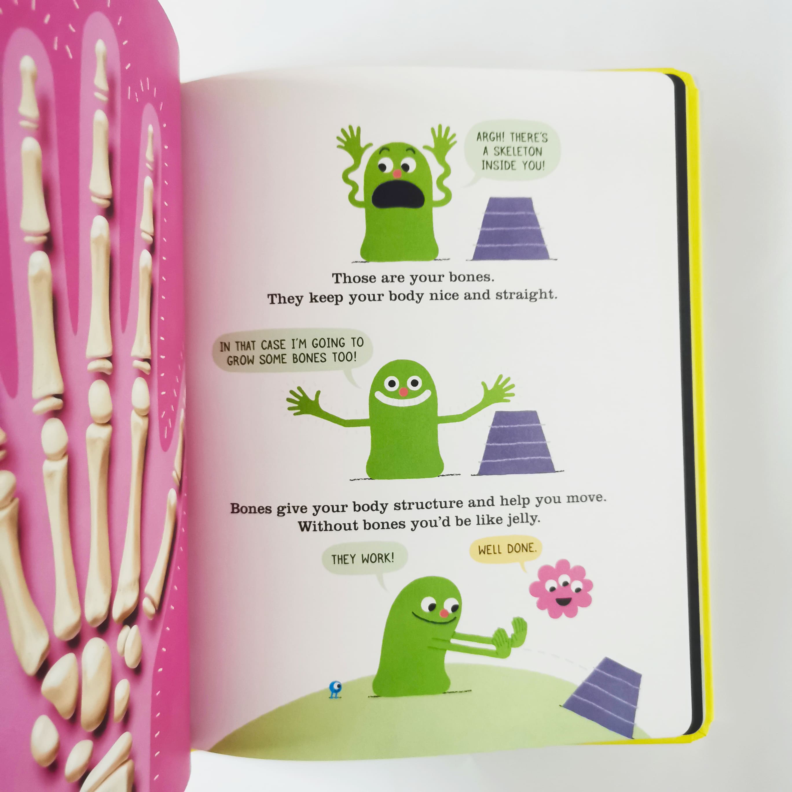 There's a Skeleton Inside You!