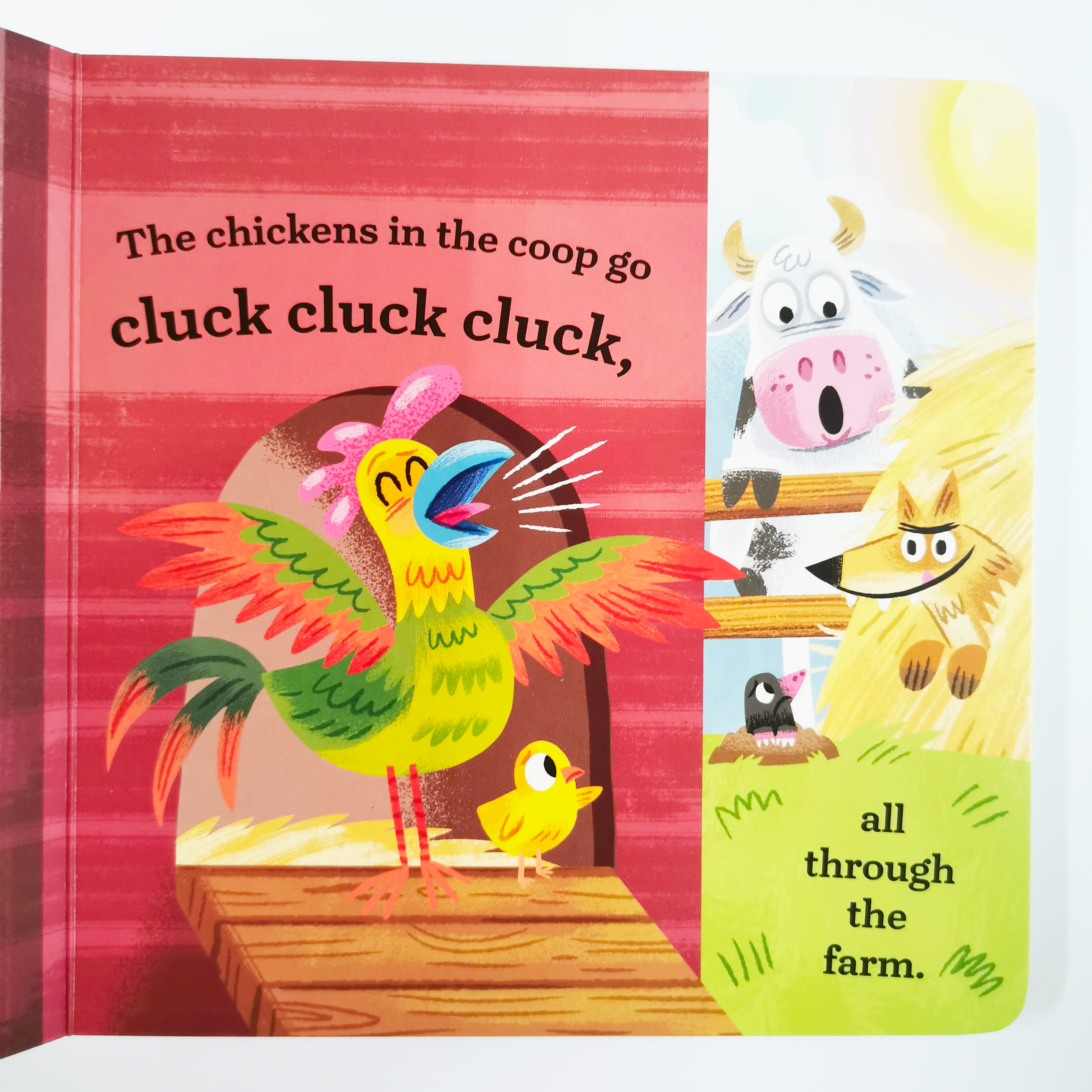 The Llamas in the Field