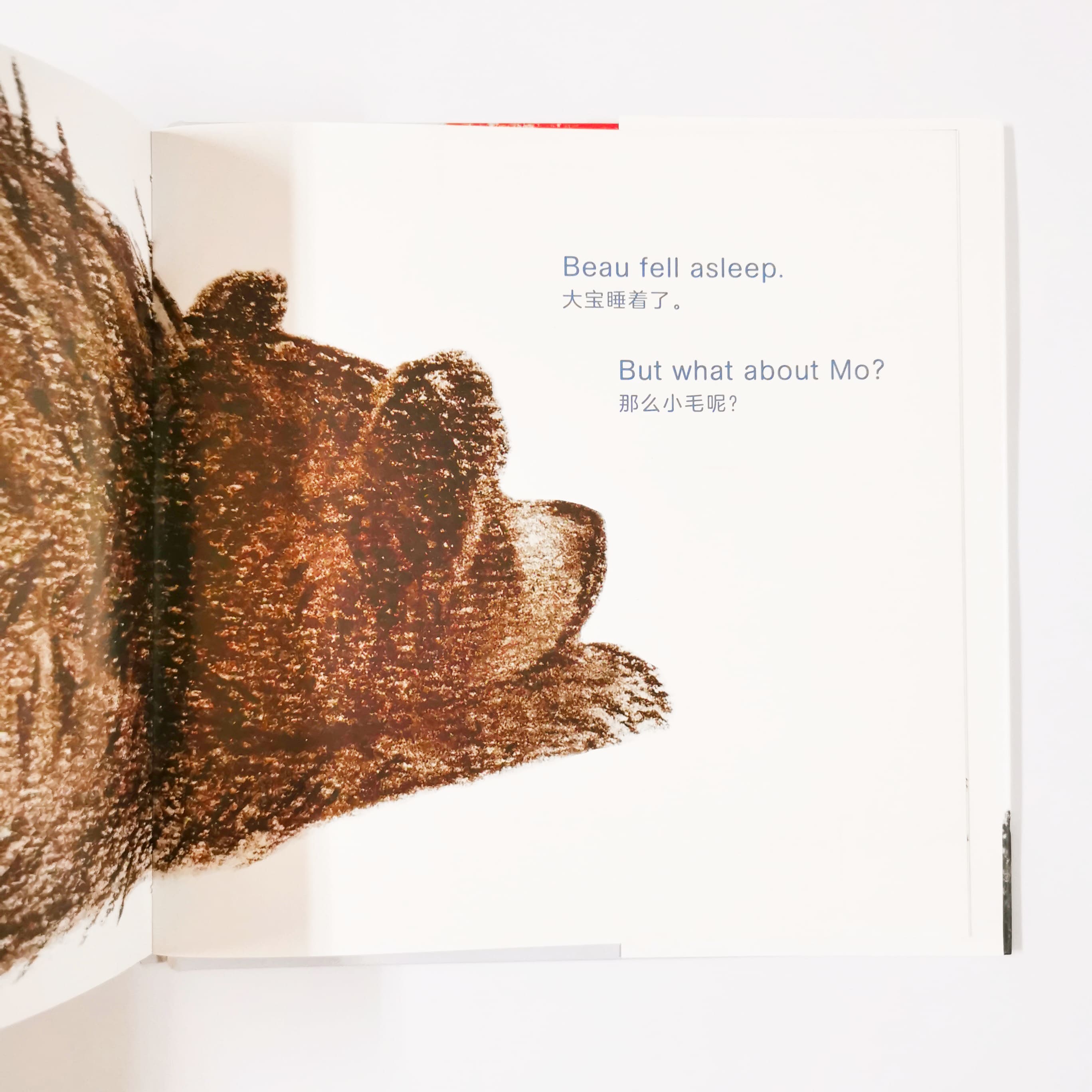 Mo and Beau 小毛和大宝