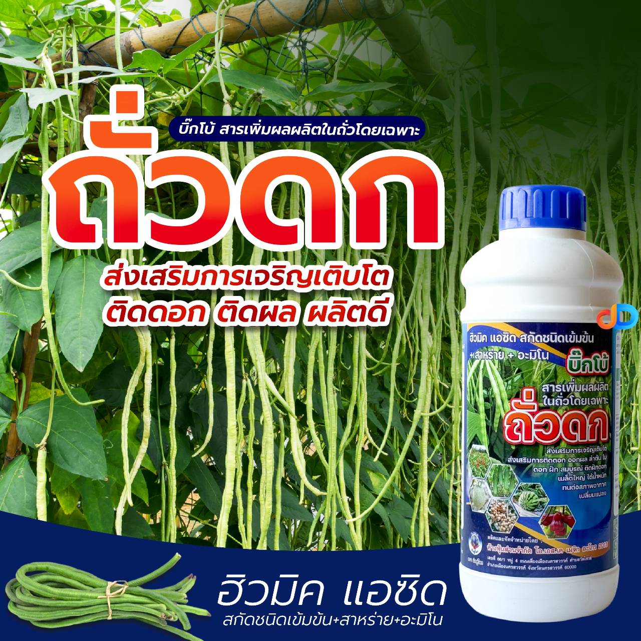 ถั่วดก 1 ลิตร สารเพิ่มผลผิตในถั่วโดยเฉพาะ ฮิวมิกแอซิต สกัดชินเข้มข้น+สาหร่าย+อะมิโน