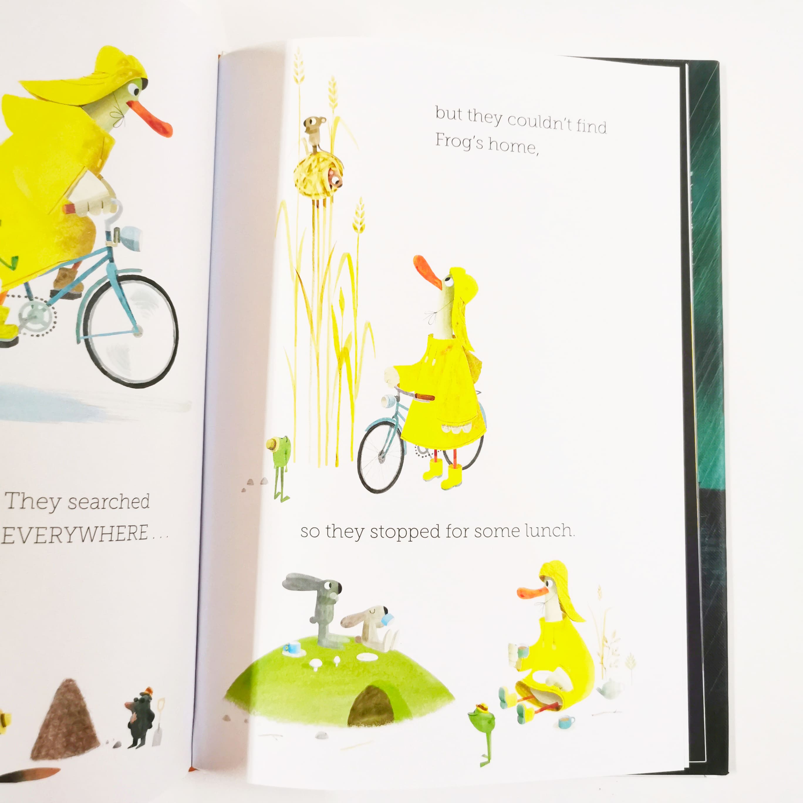 The Duck Who Didn't Like Water