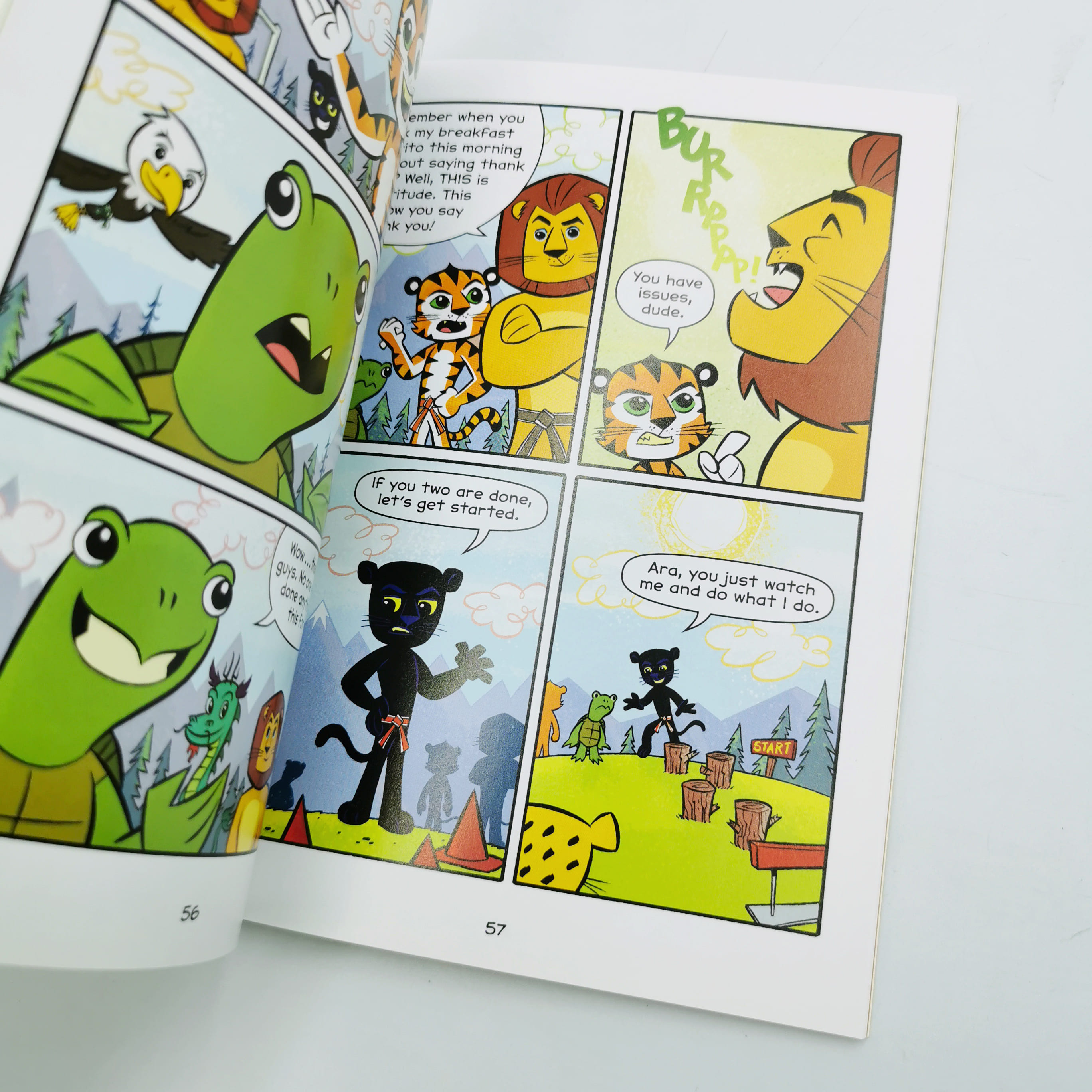 Ara's Rocky Road to White Belt (Team Taekwondo)