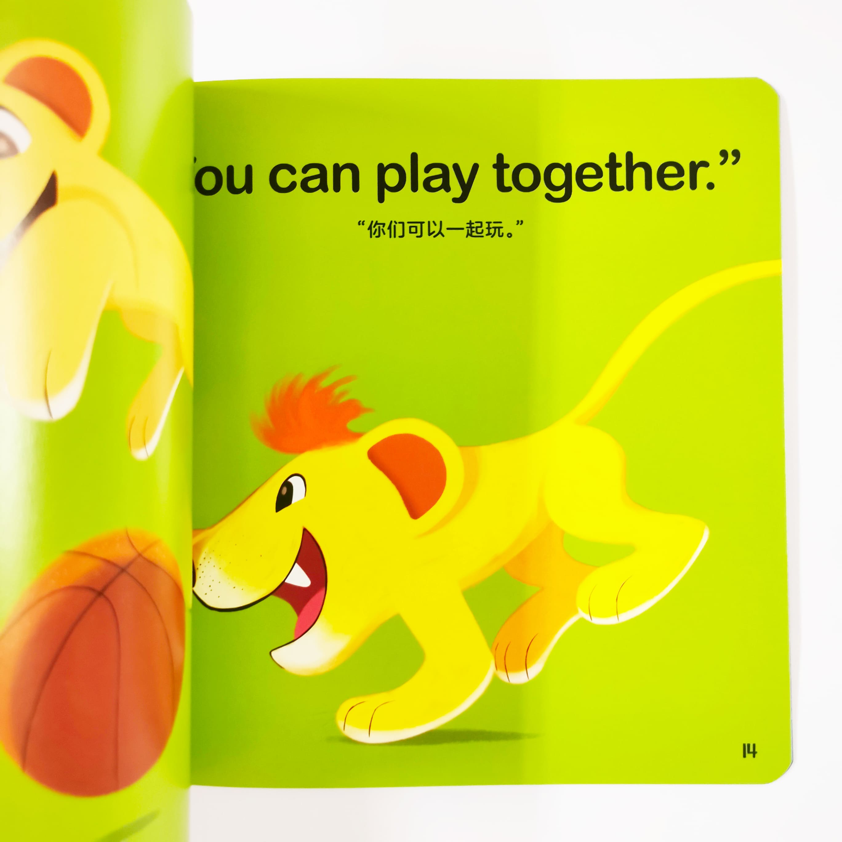 Little Lion Shares 我喜欢分享