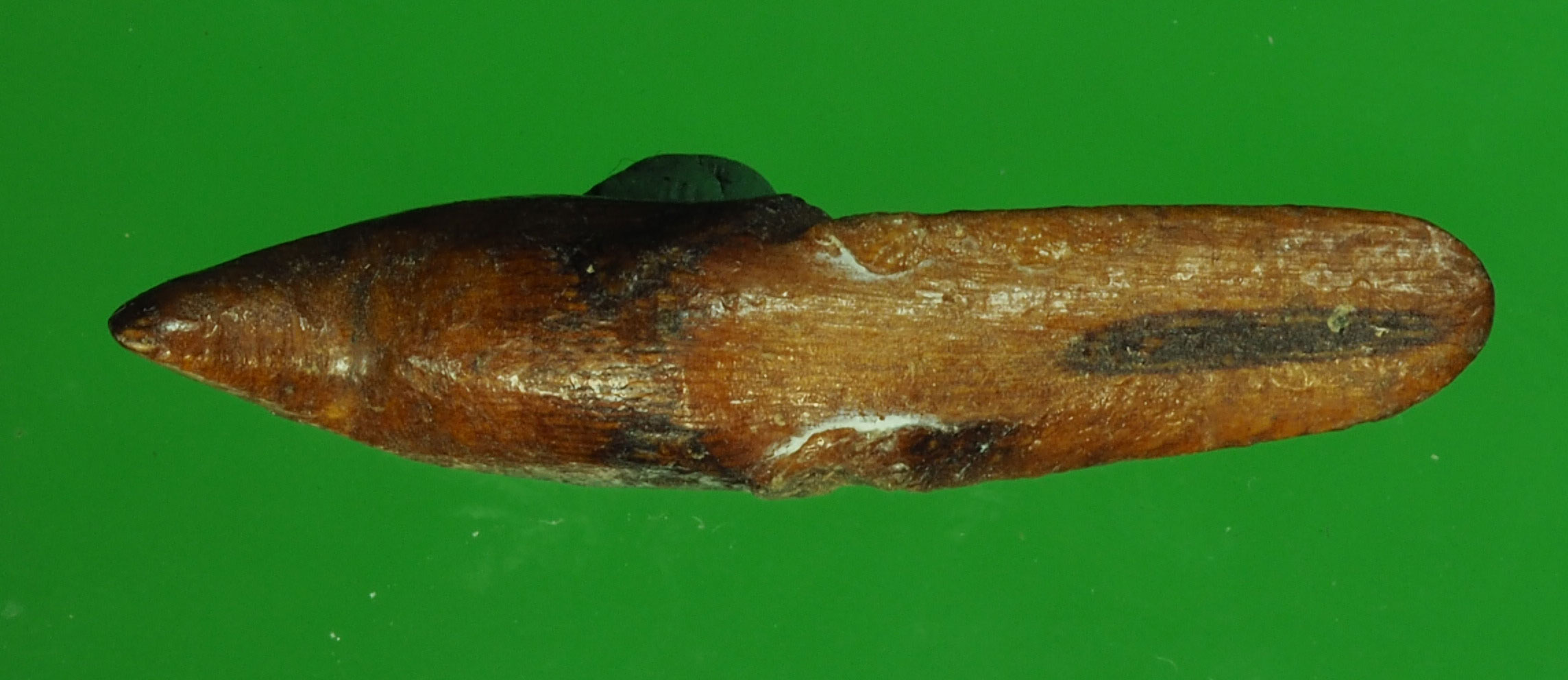 A260 สาลิกา ไม้แกะเก่า ไม่ทราบอาจารย์ 12