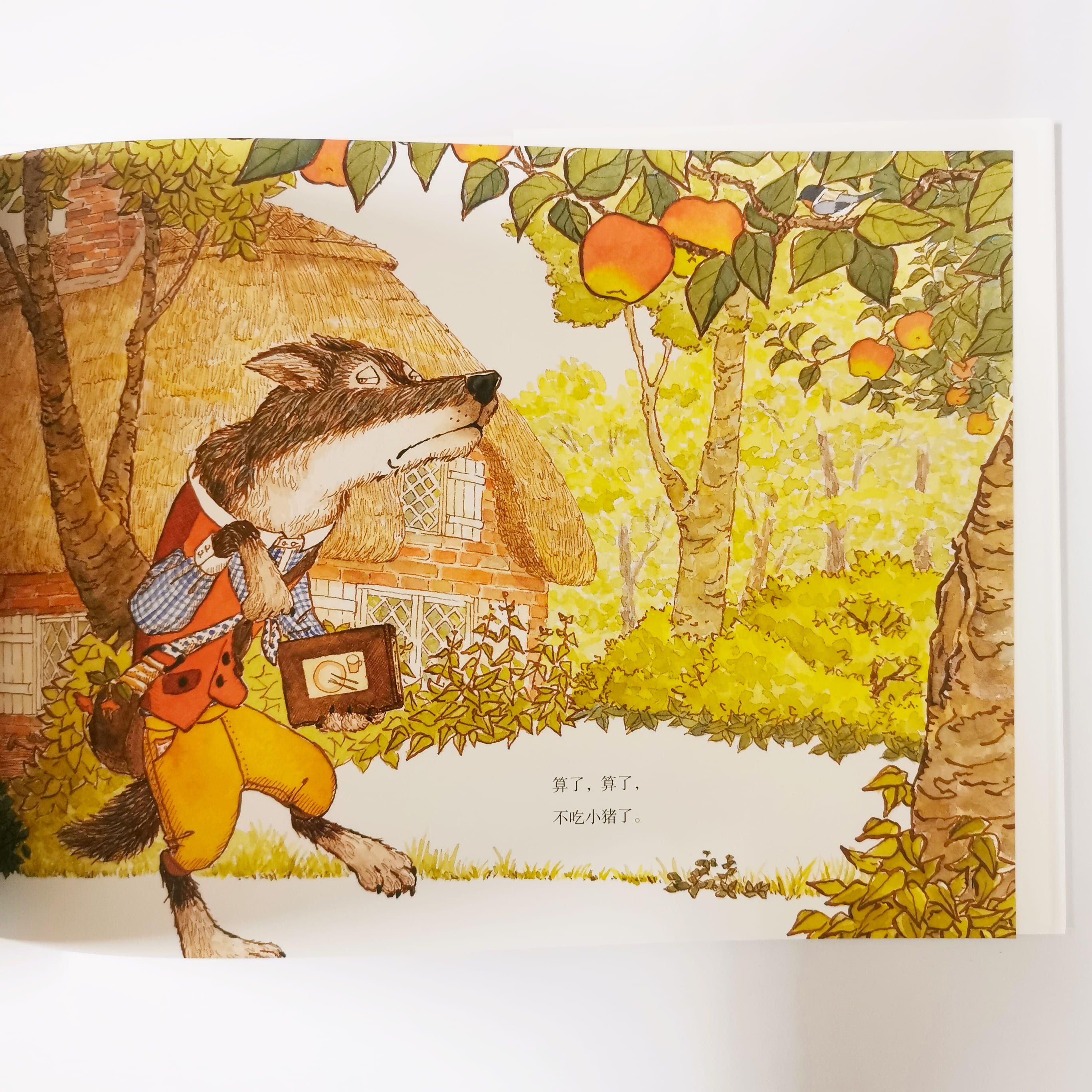 大灰狼才应该小心 The Big Gray Wolf should be careful