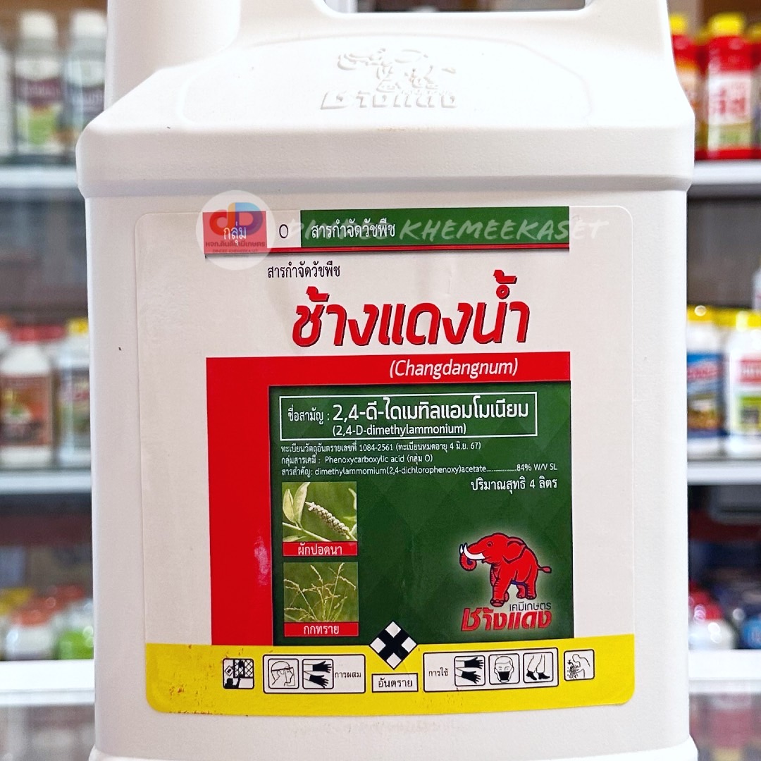 (กดสั่งซื้อครั้งละ 1 ลัง! ยกลัง*6) สารจำกัด วัชพืช ช้างแดงน้ำ #2,4-ดี-ไดเมทิลแอมโมเนีย ขนาด 4 ลิตร