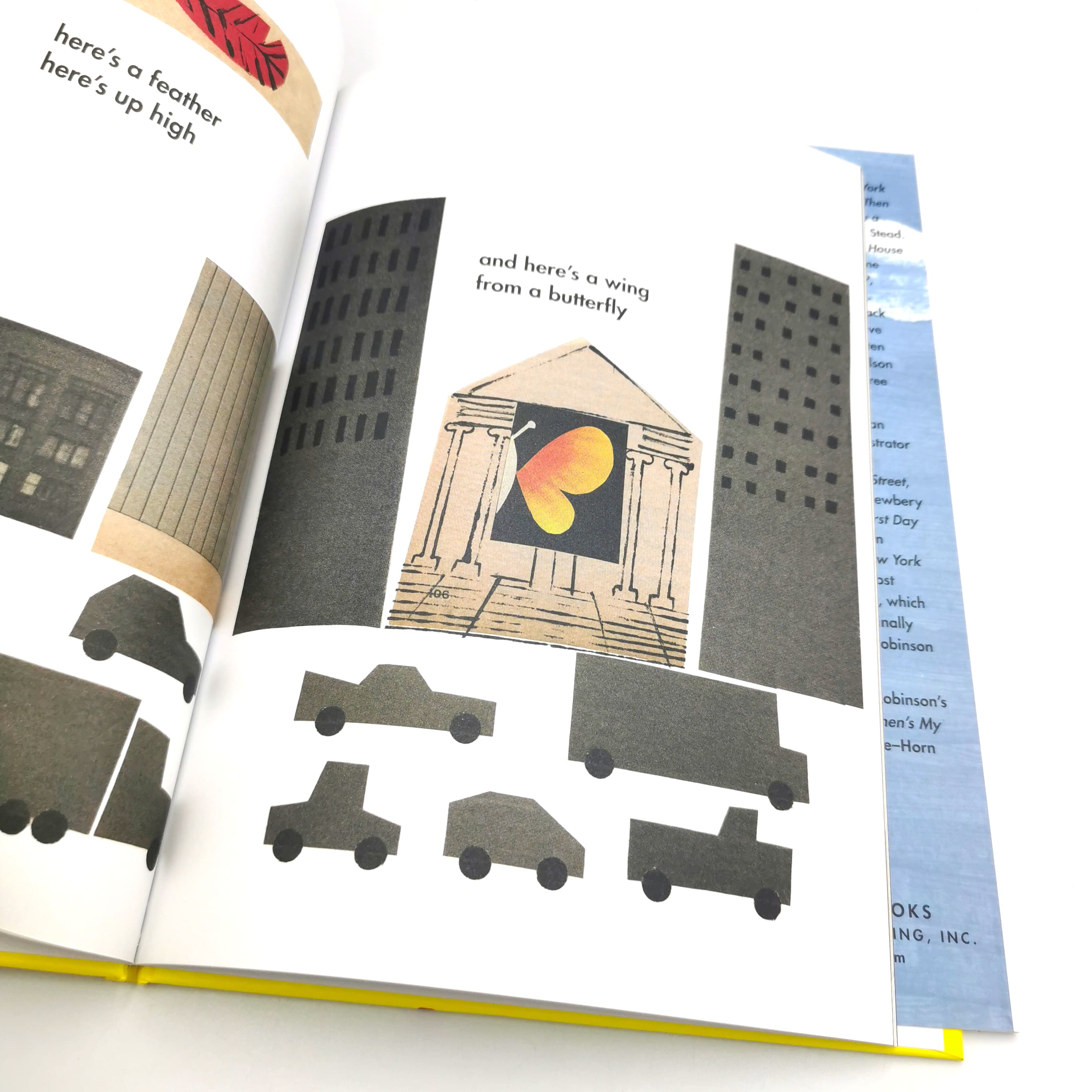 Just In Case You Want to Fly