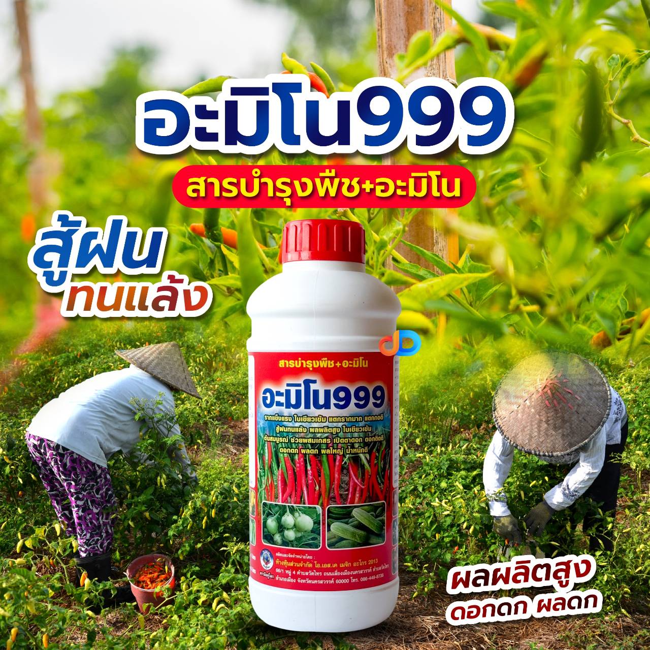 อะมิโน999 สารบำรุงพืช+อะมิโน 1 ลิตร รากแข็งแรง ใบเขียวเข้ม ผลผลิตสูง เปิดตาดอก ผลใหญ่น้ำหนักดี