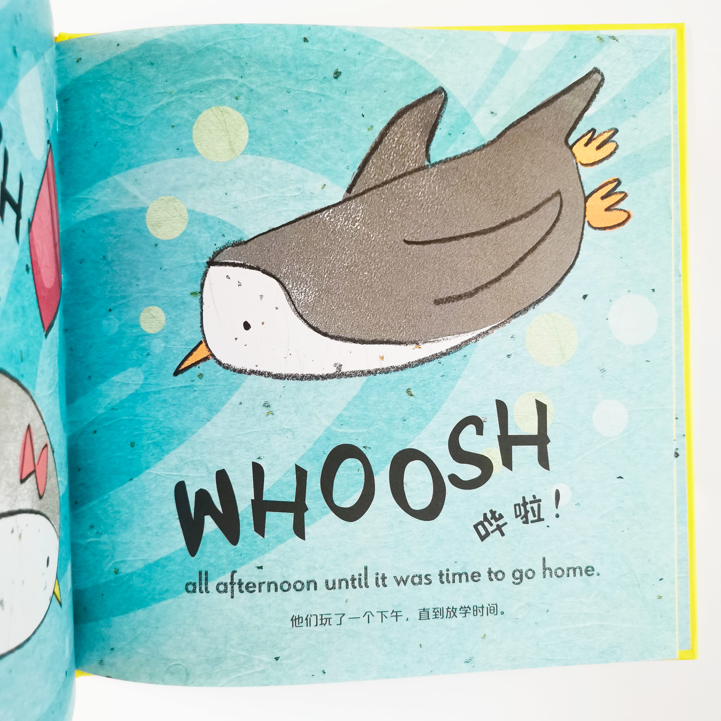 Bob and flo : The Missing Bucket 巴布和弗洛 : 丢失的小桶