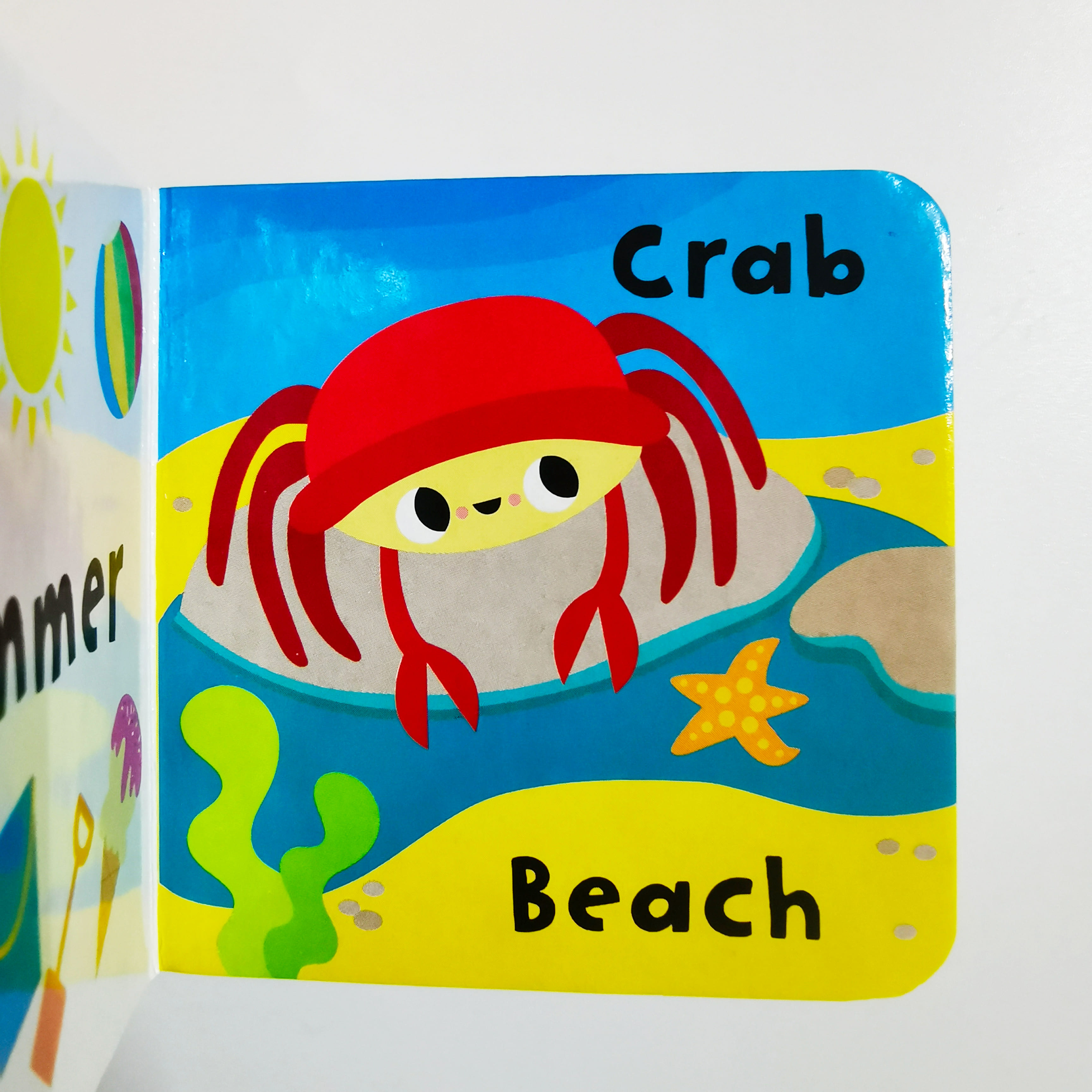 My Big Concept Bookcase