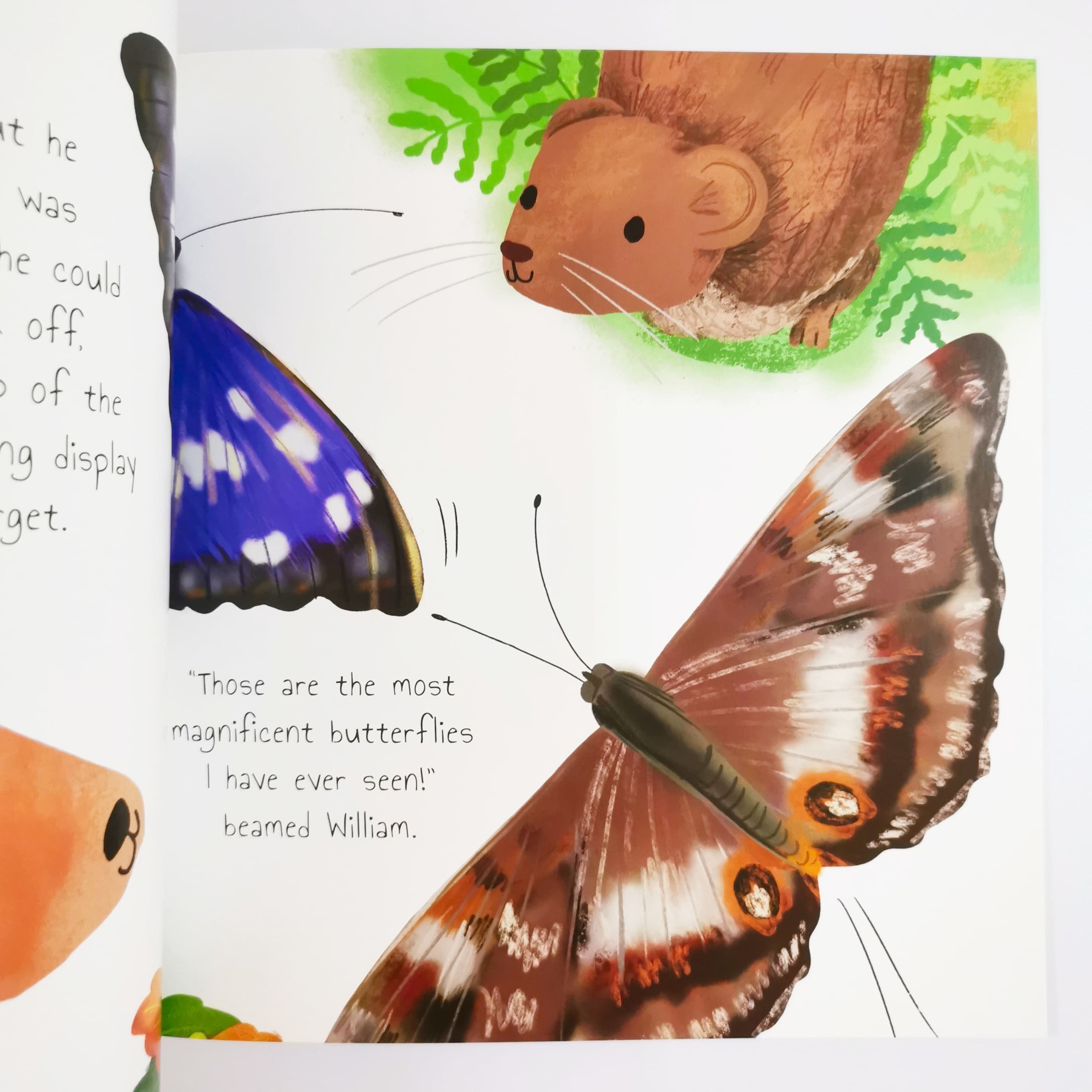 Blaze The Butterfly (Woodland Tales)