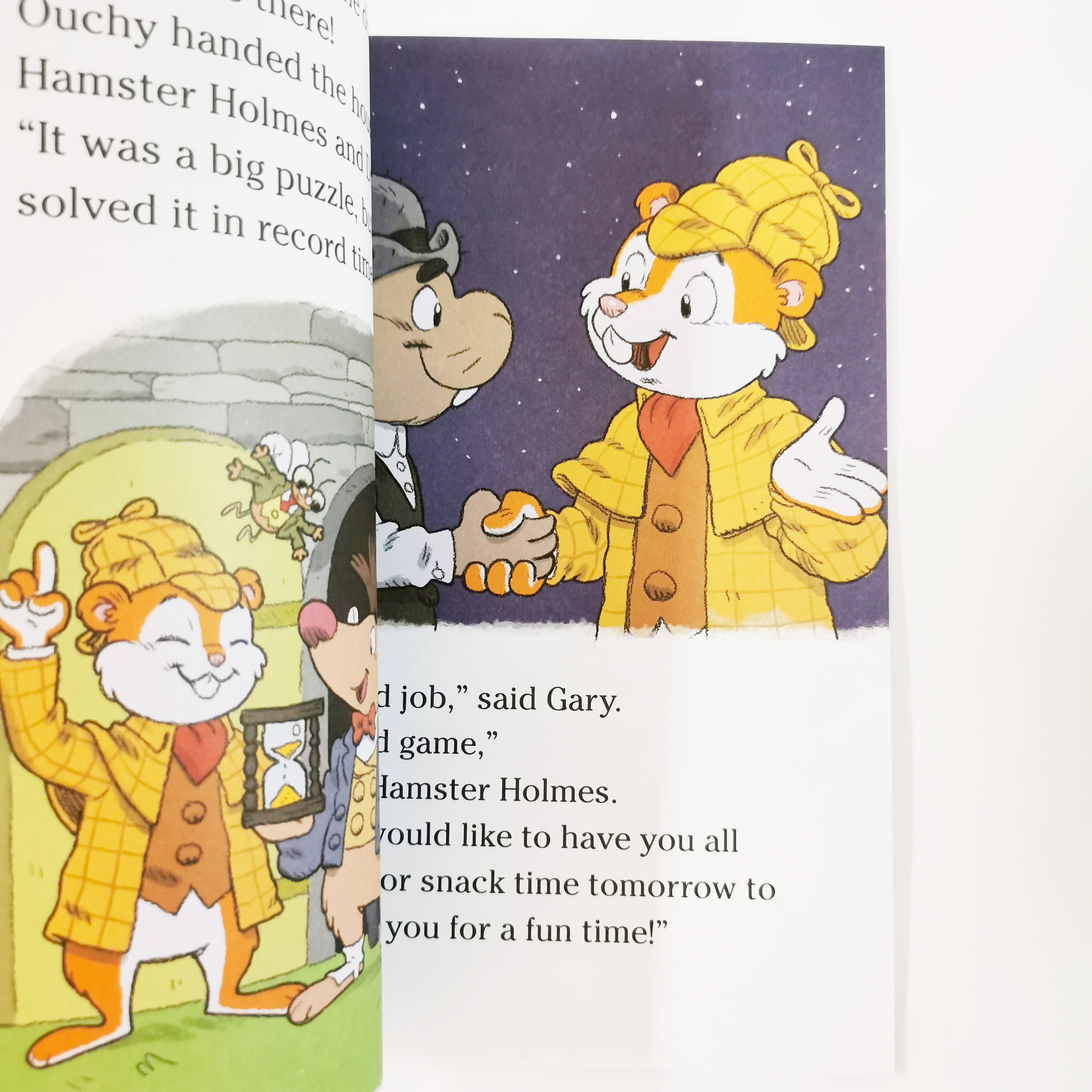 A Big-Time Puzzle (Hamster Holmes)