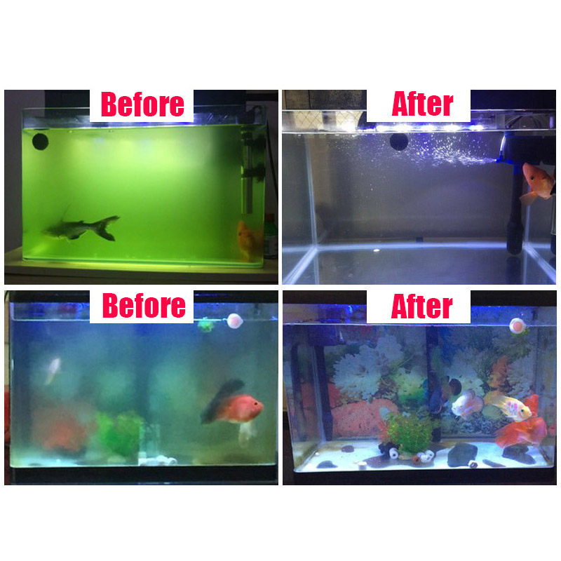 RQ ANTI ALGAE 1000 ml (น้ำยากำจัดตะไคร่ น้ำขียว สาหร่าย ตะไคร่ ในบ่อปลา และตู้ปลา)