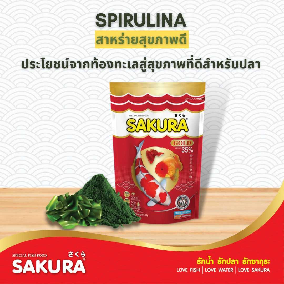 SAKURA GOLD 1kg (อาหารปลาสวยงาม สูตรใหม่ เม็ด 3 สี สูตร เร่งสี เร่งโต น้ำไม่ขุ่น)