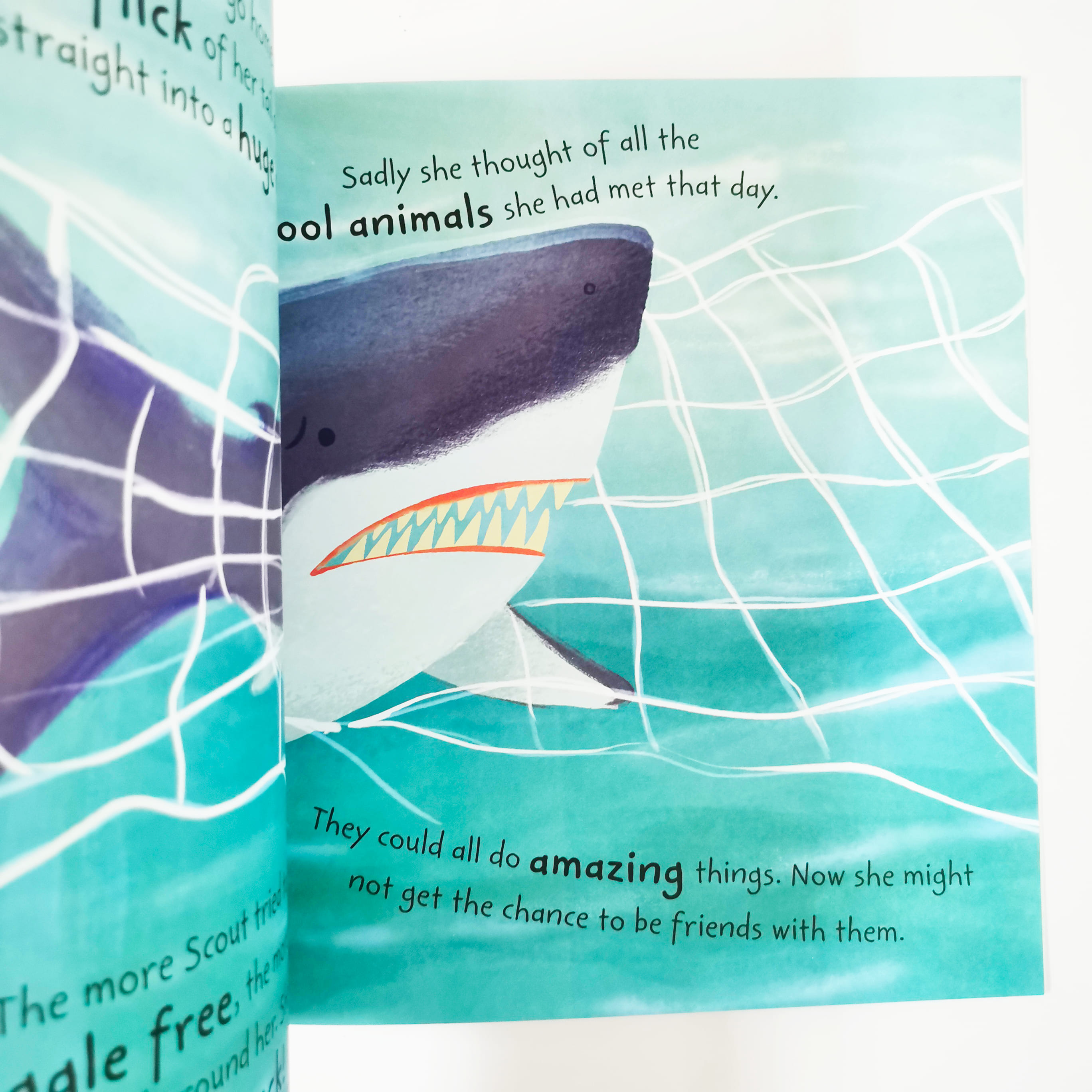 Scout the Shark (Stories from the Sea)